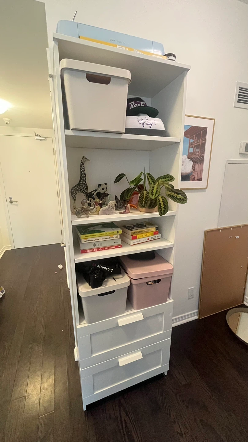 IKEA BRIMNES Bookcase