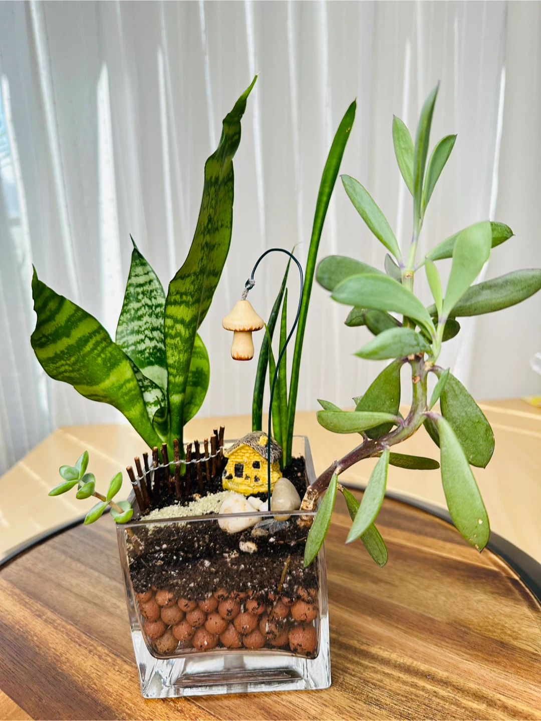 🥕Miniature Fairy Garden Terrarium