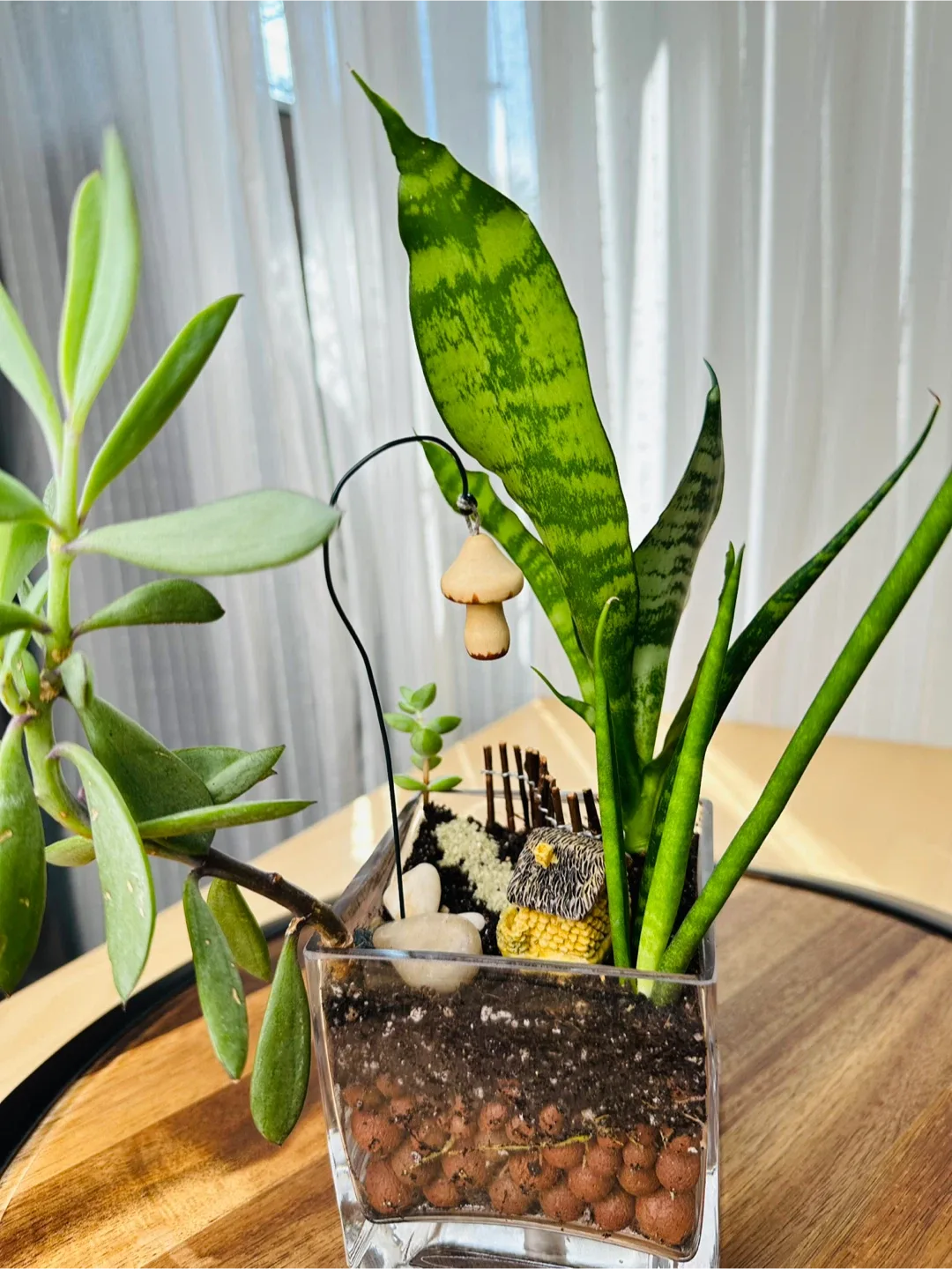 🥕Miniature Fairy Garden Terrarium image indicator(2)