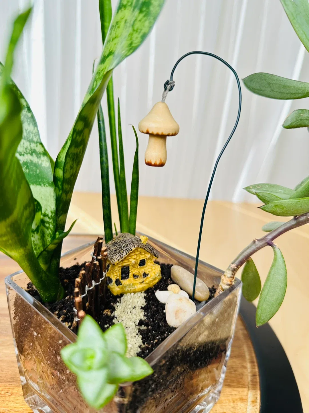 🥕Miniature Fairy Garden Terrarium image indicator(3)