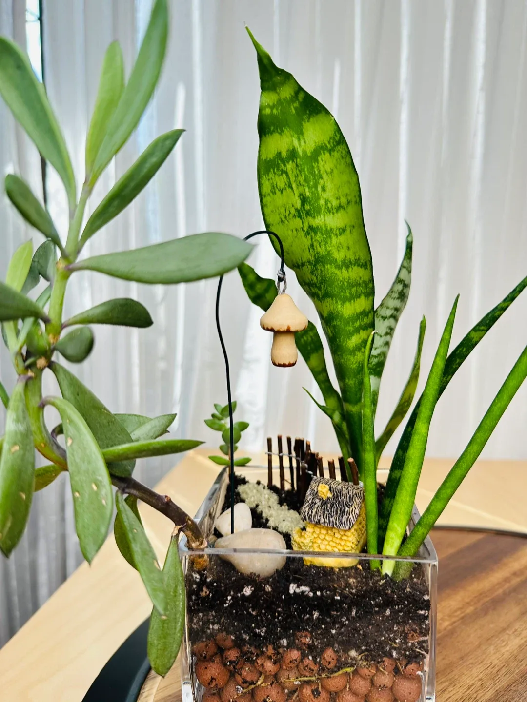 🥕Miniature Fairy Garden Terrarium image indicator(6)