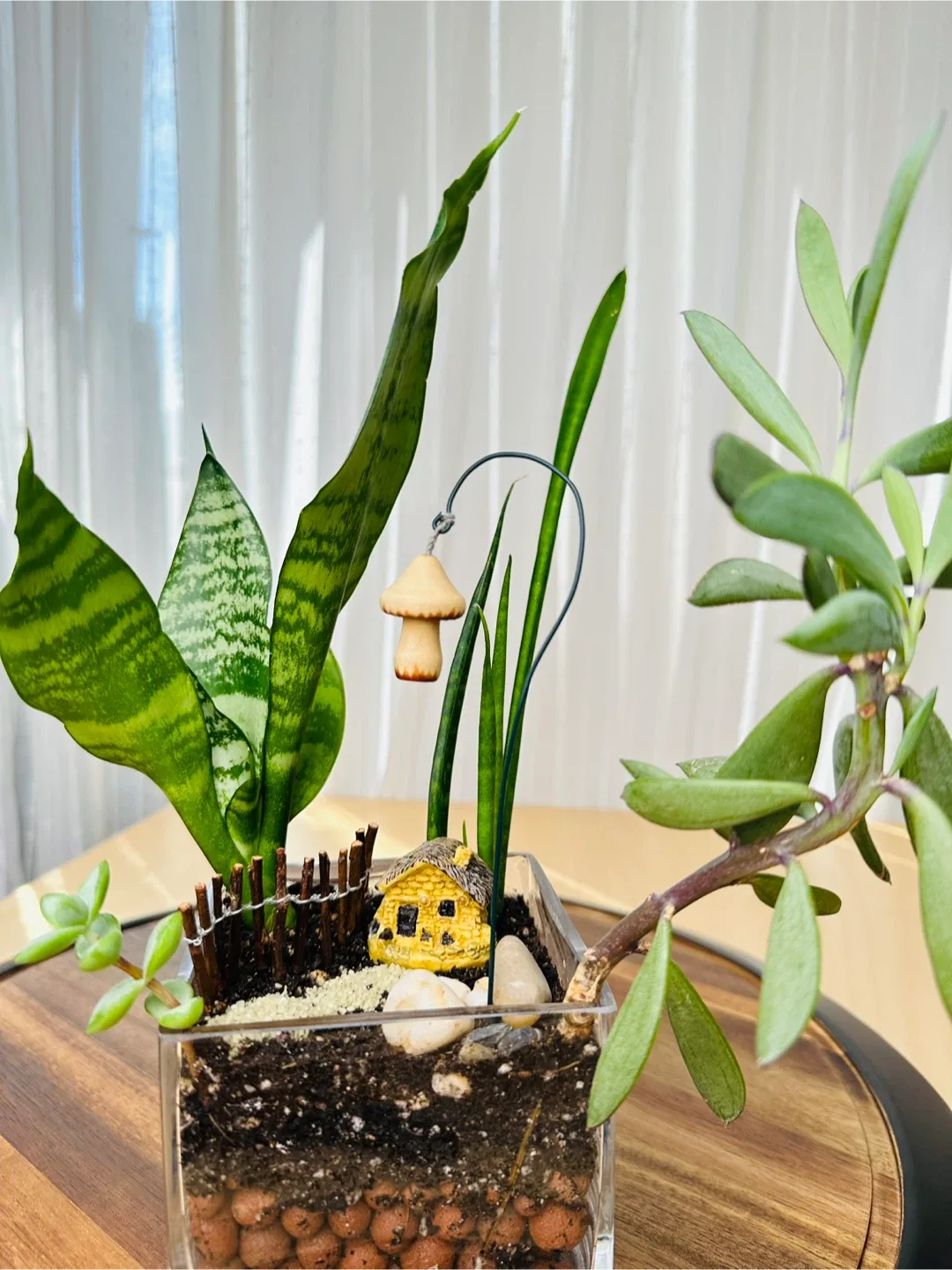 🥕Miniature Fairy Garden Terrarium image indicator(4)