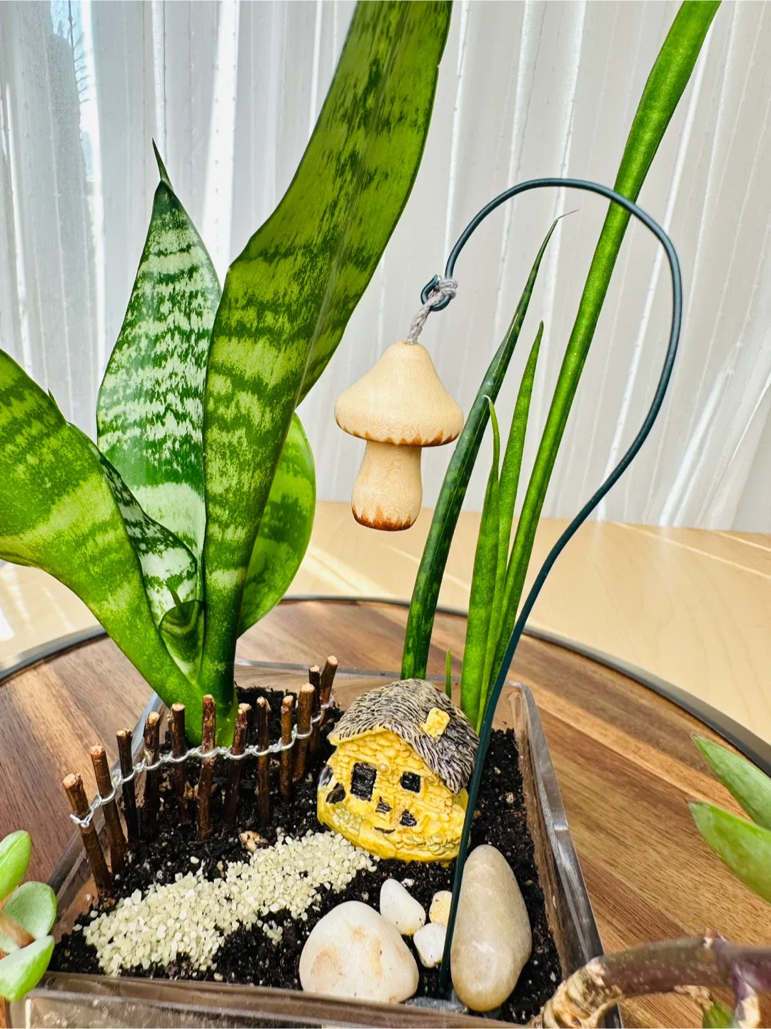 🥕Miniature Fairy Garden Terrarium image indicator(5)