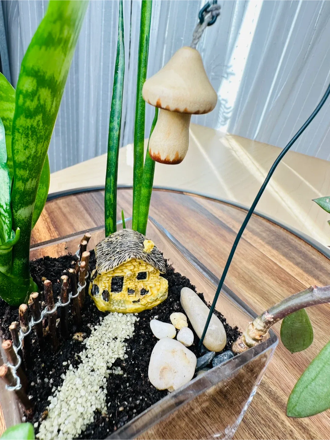 🥕Miniature Fairy Garden Terrarium image indicator(7)