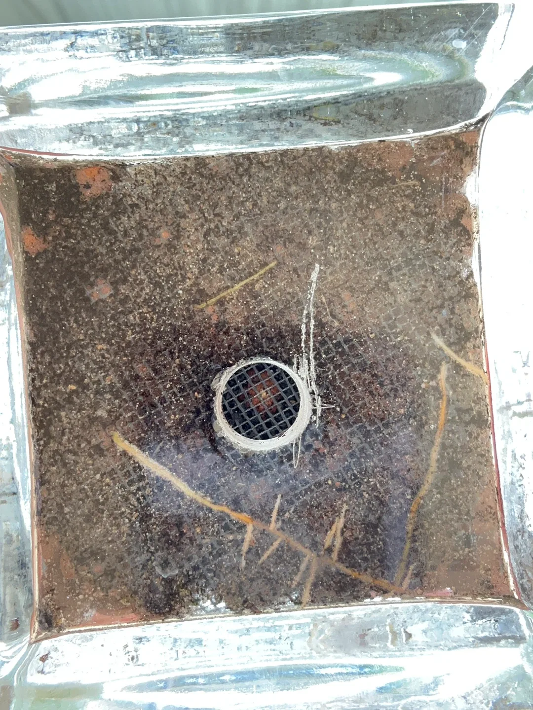 🥕Miniature Fairy Garden Terrarium image indicator(8)