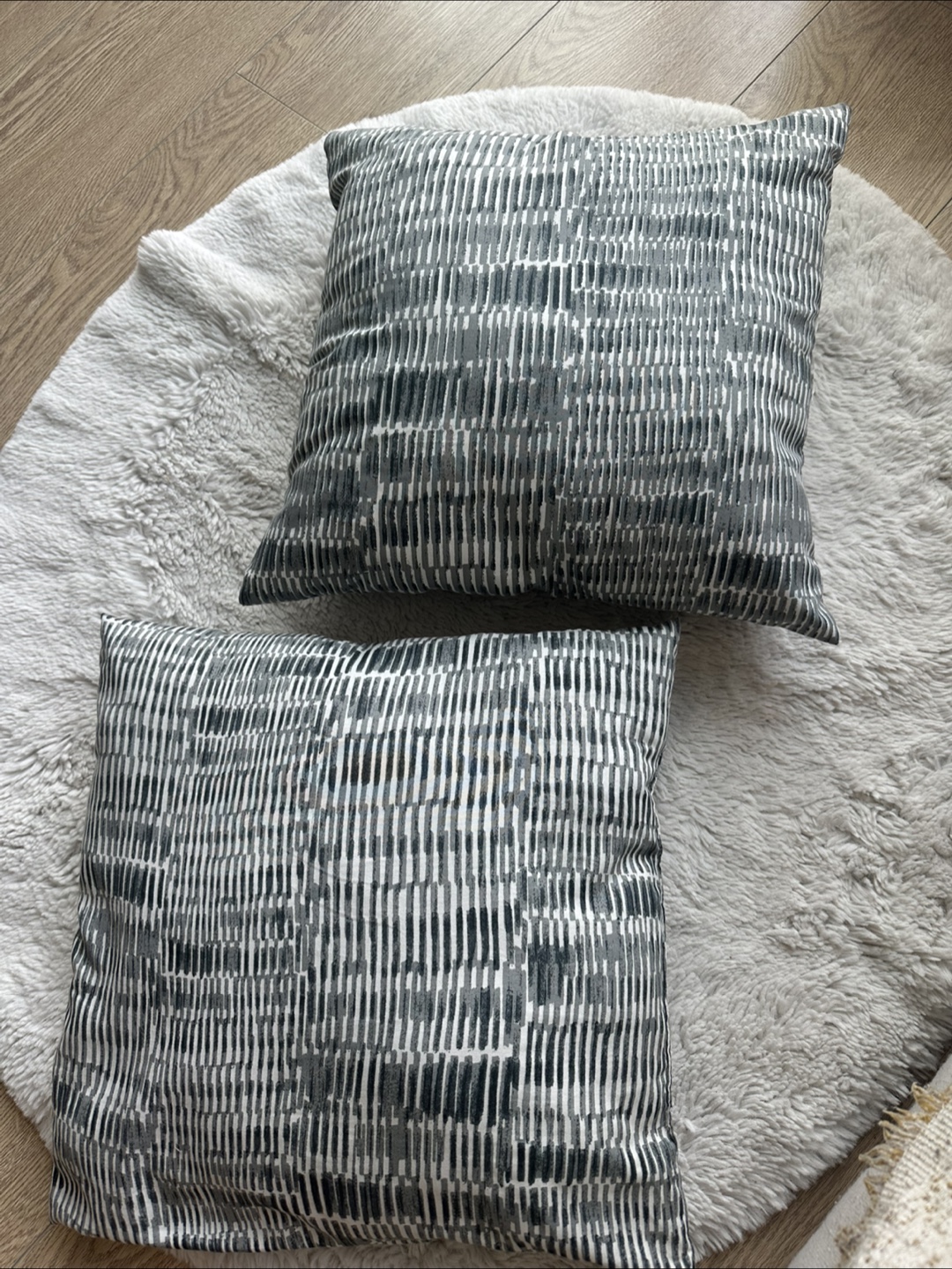 Set of 2 Decorative Throw Pillows