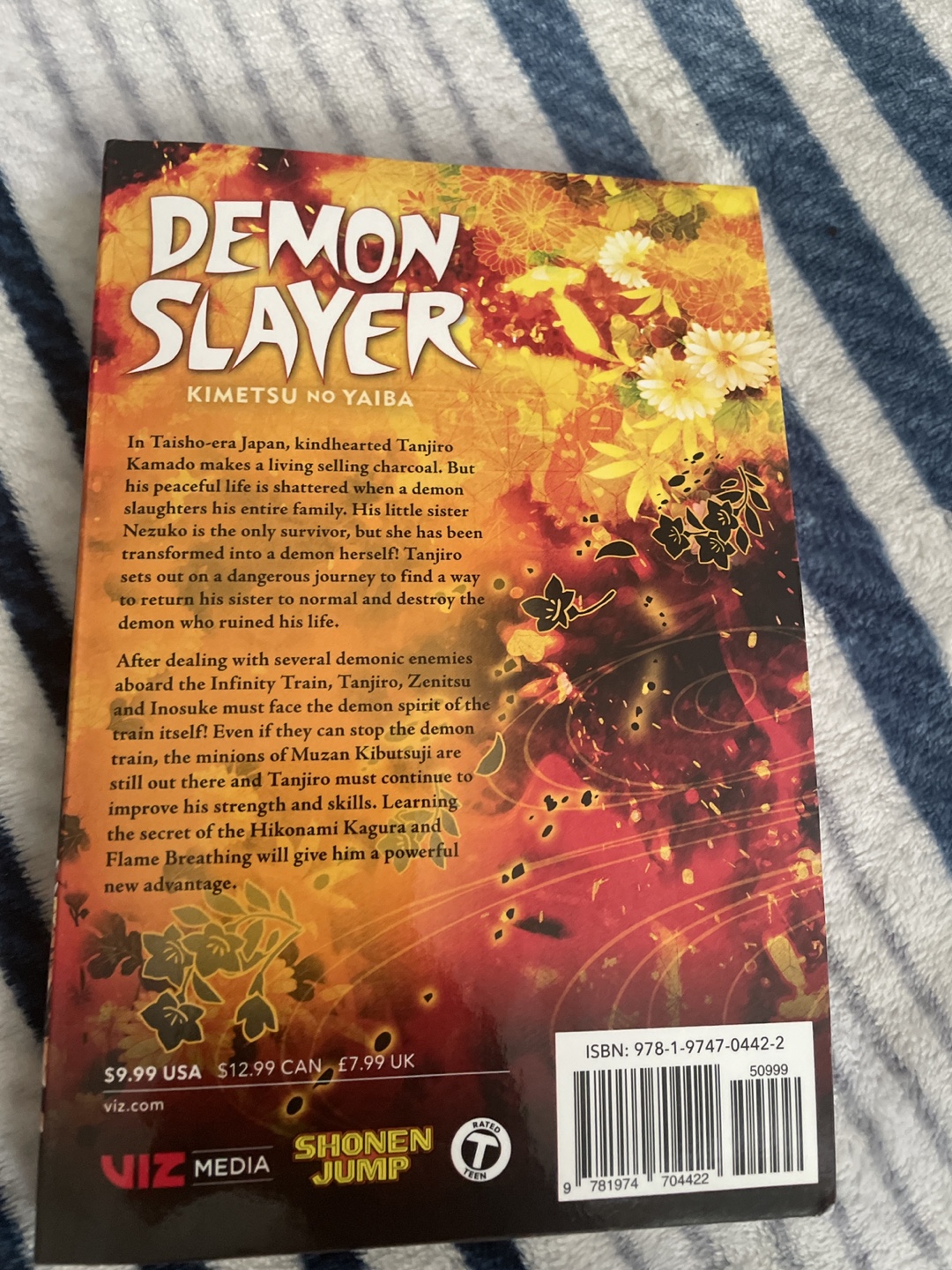 Demon  Slayer, Vol. 8: The Strength Of The Hashira - photo 2