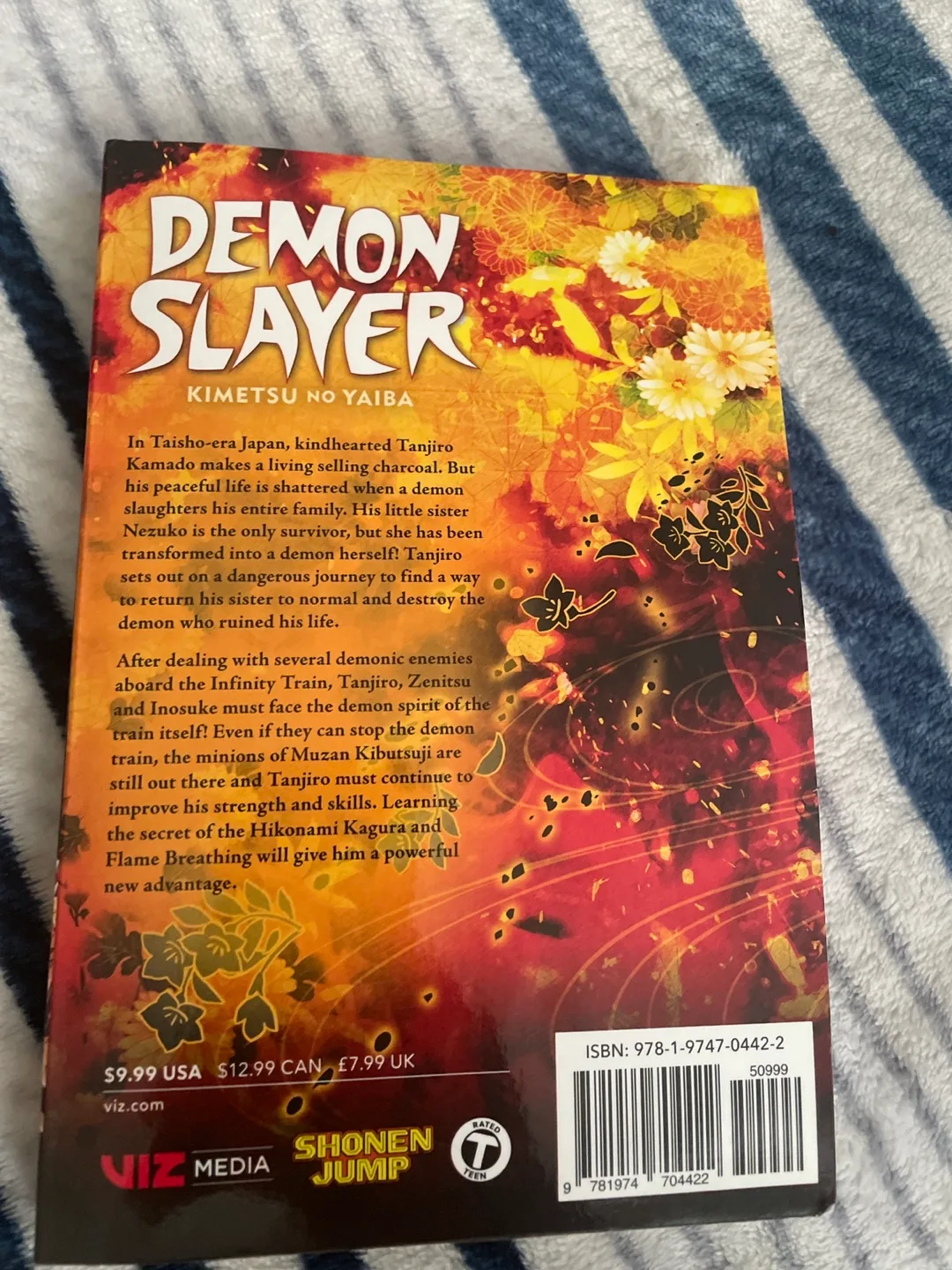 Demon  Slayer, Vol. 8: The Strength Of The Hashira image indicator(2)