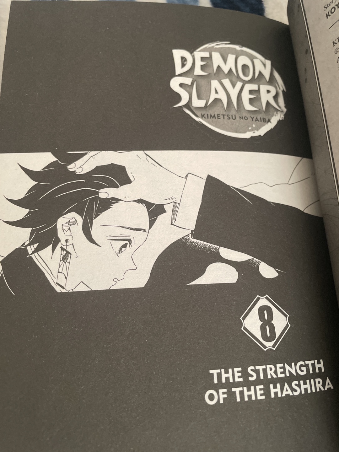 Demon  Slayer, Vol. 8: The Strength Of The Hashira - photo 3