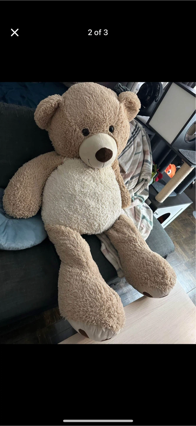 Teddy Bear - photo 2