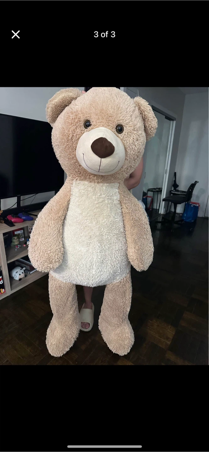 Teddy Bear