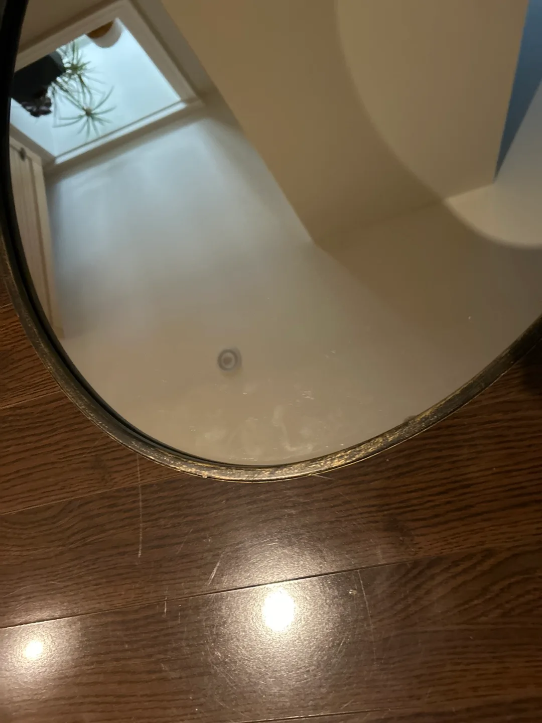 Oval Wall Mirror image indicator(4)