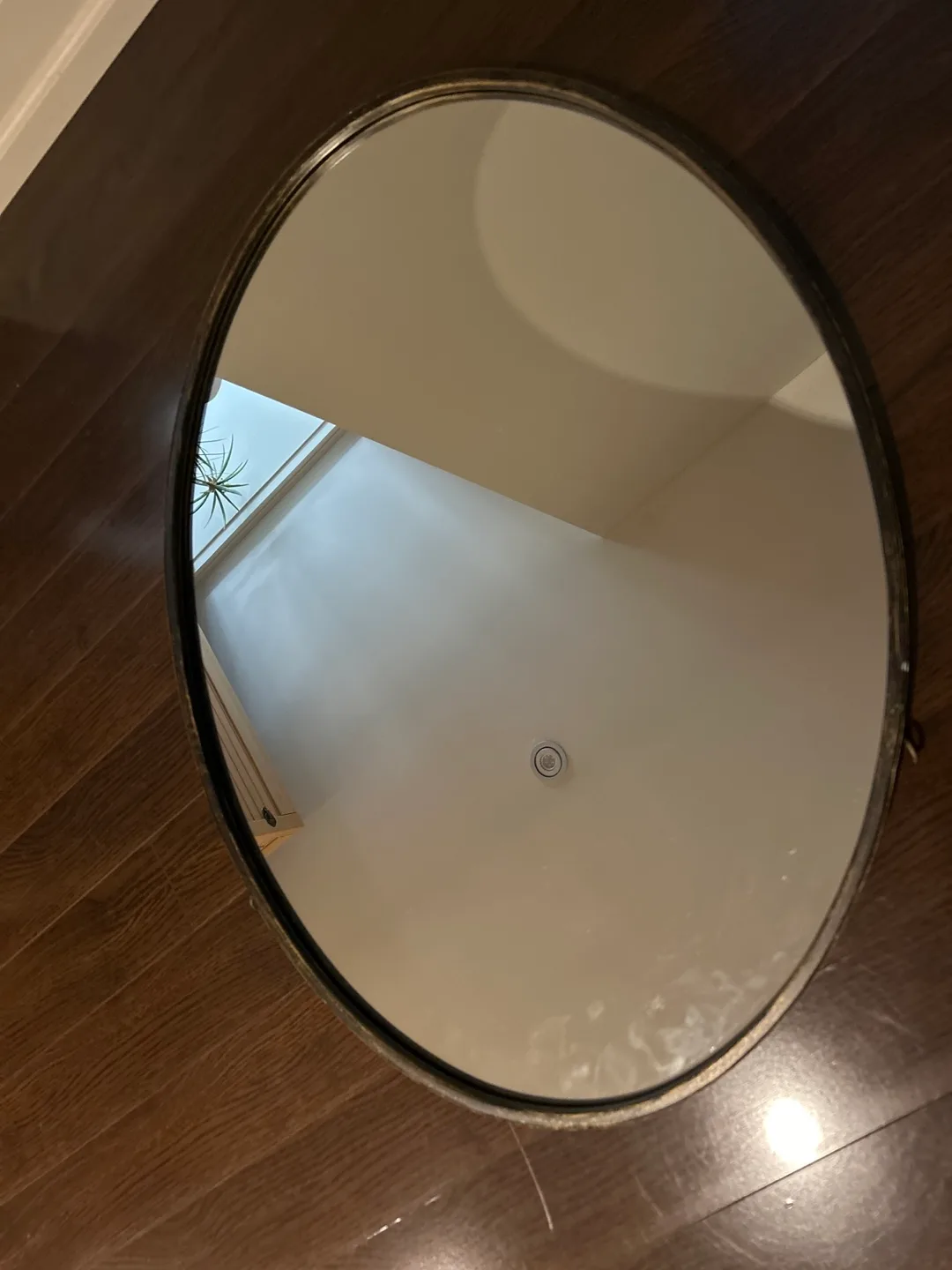 Oval Wall Mirror image indicator(3)