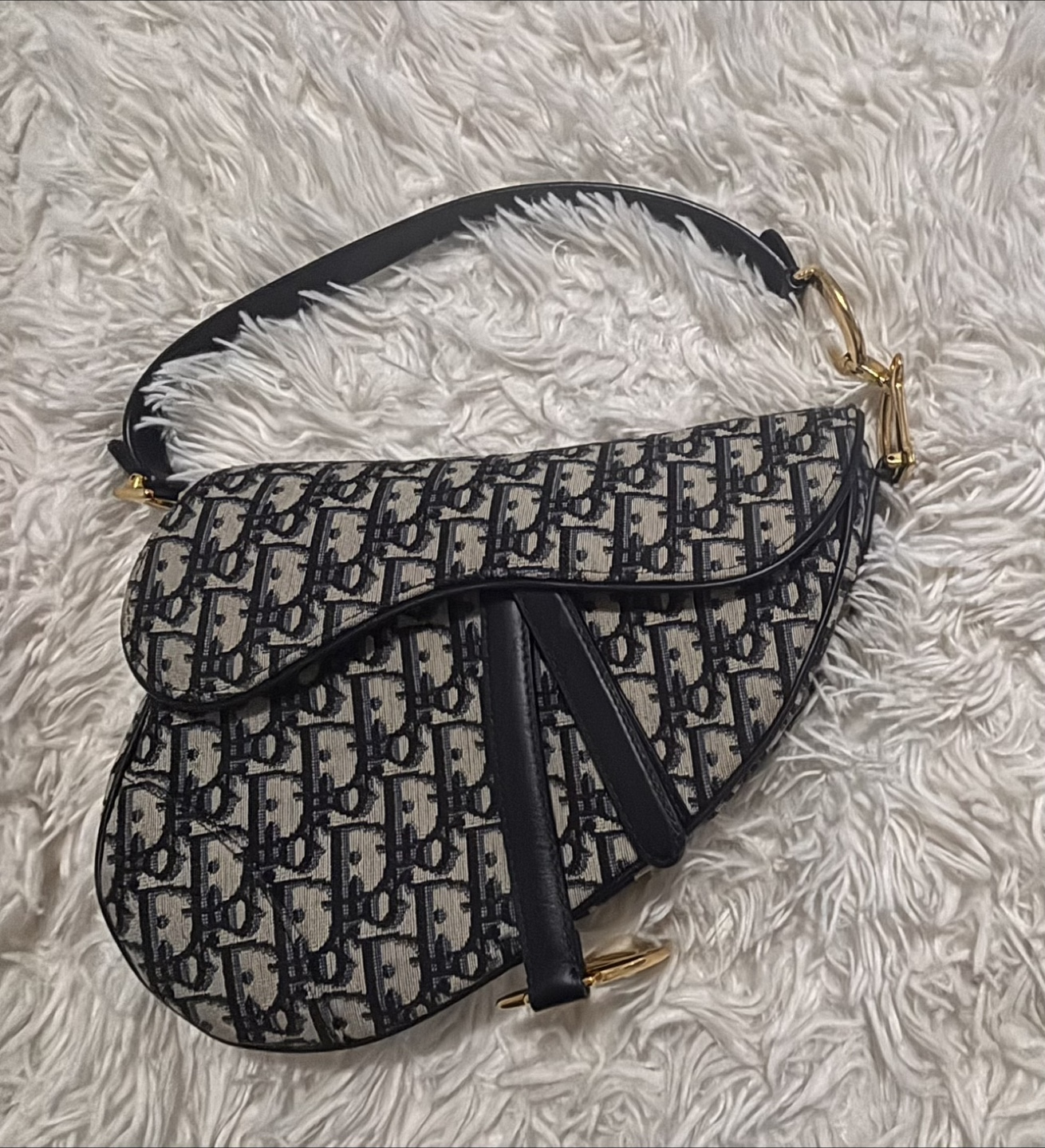 Dior Saddle Bag