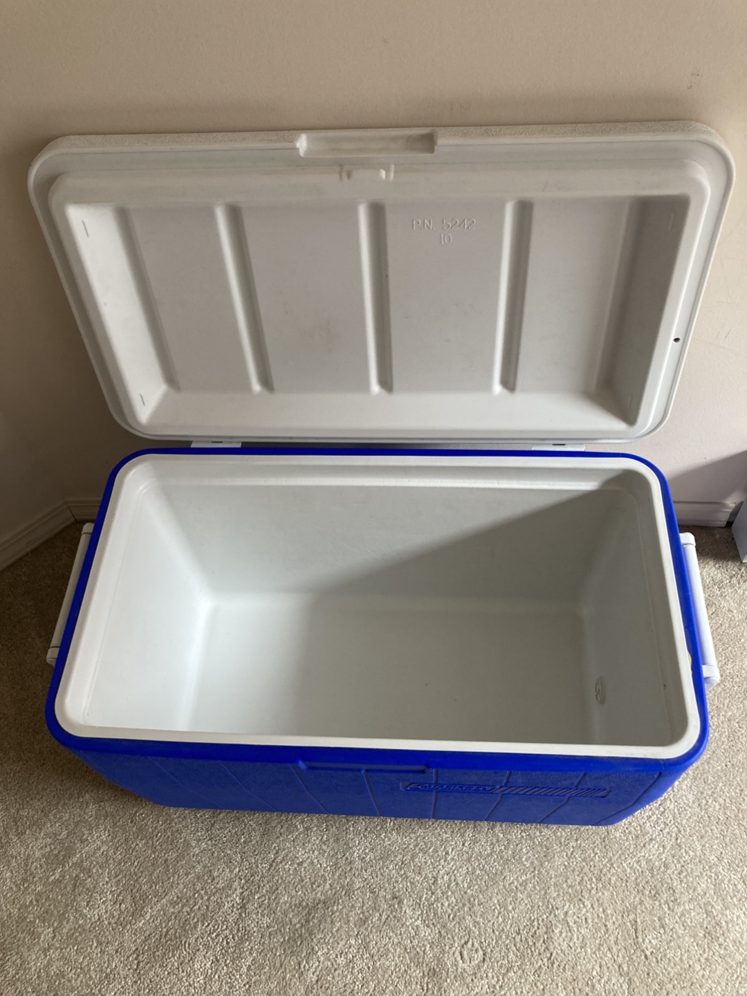 Coleman picnic cooler