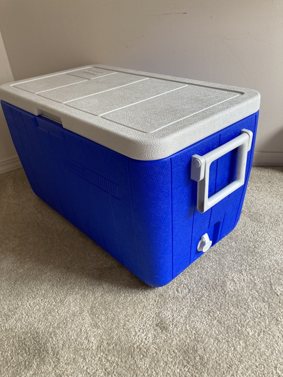 Coleman picnic cooler - photo 3