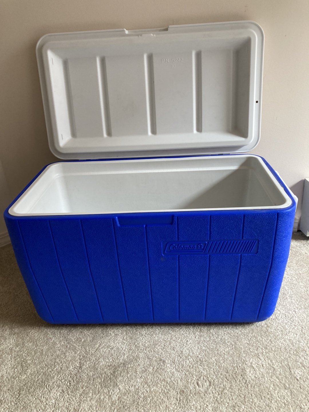 Coleman picnic cooler - photo 2