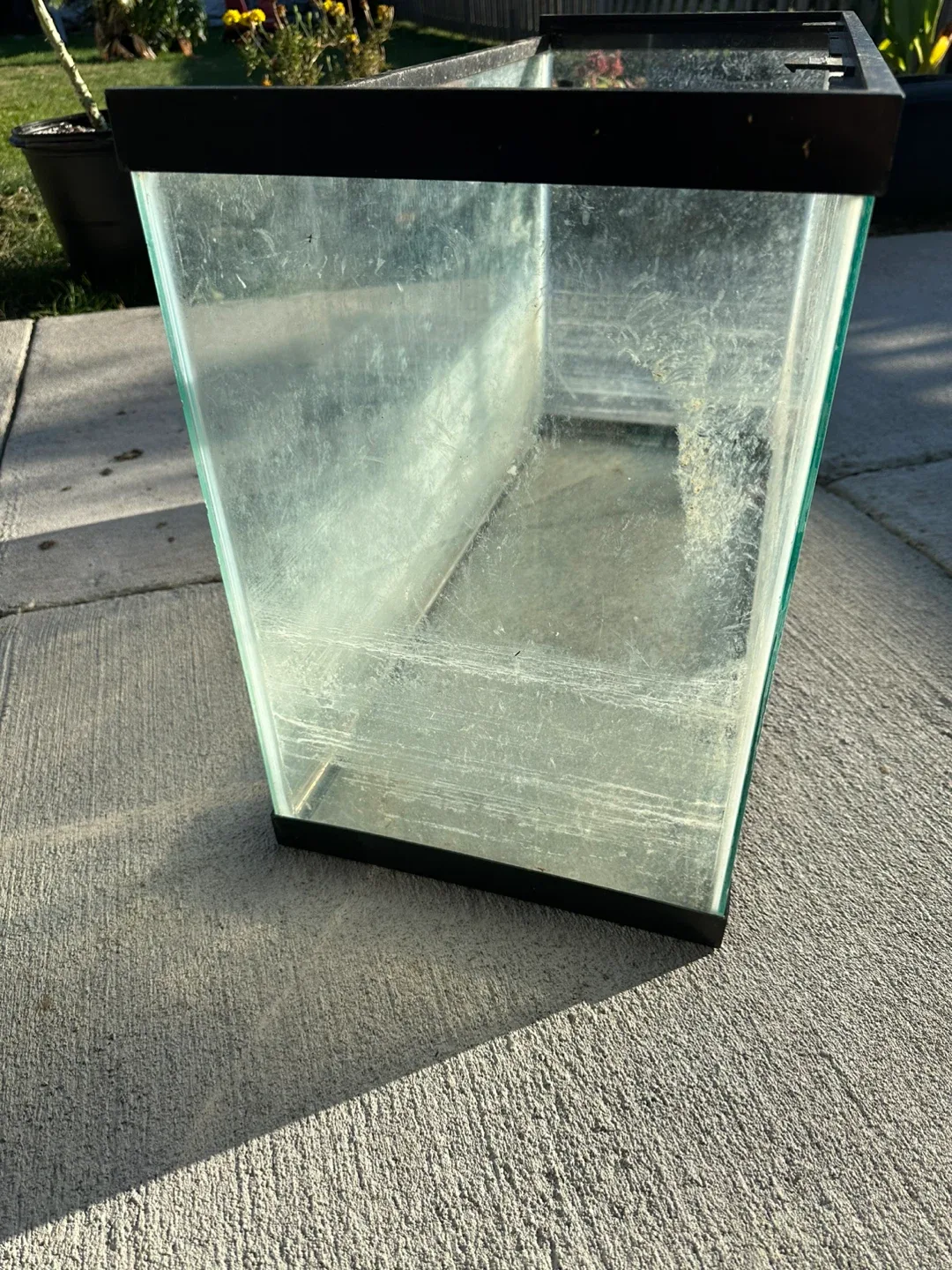 Fish Tank image indicator(3)