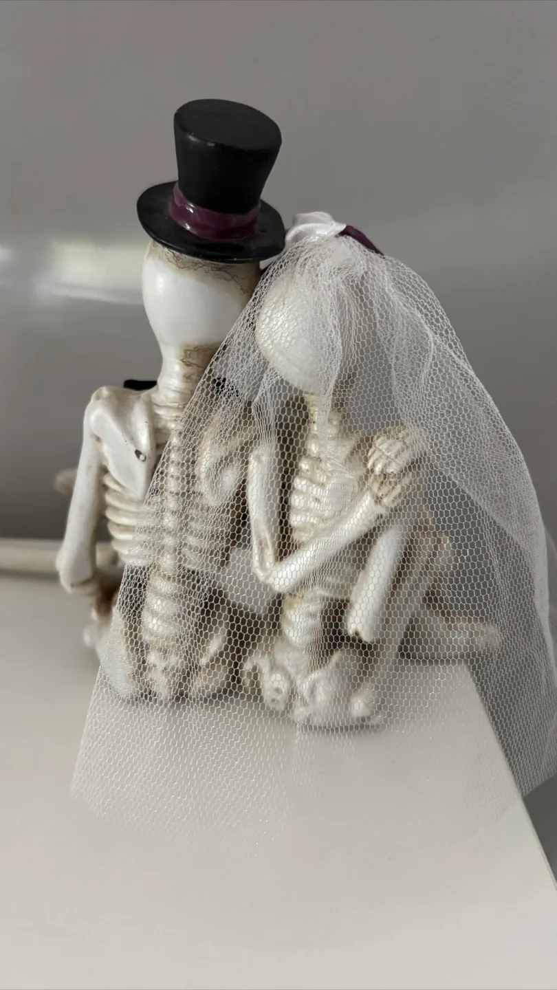 “Till Death Do Us Part” Skeleton Bride and Groom Figurine image indicator(3)