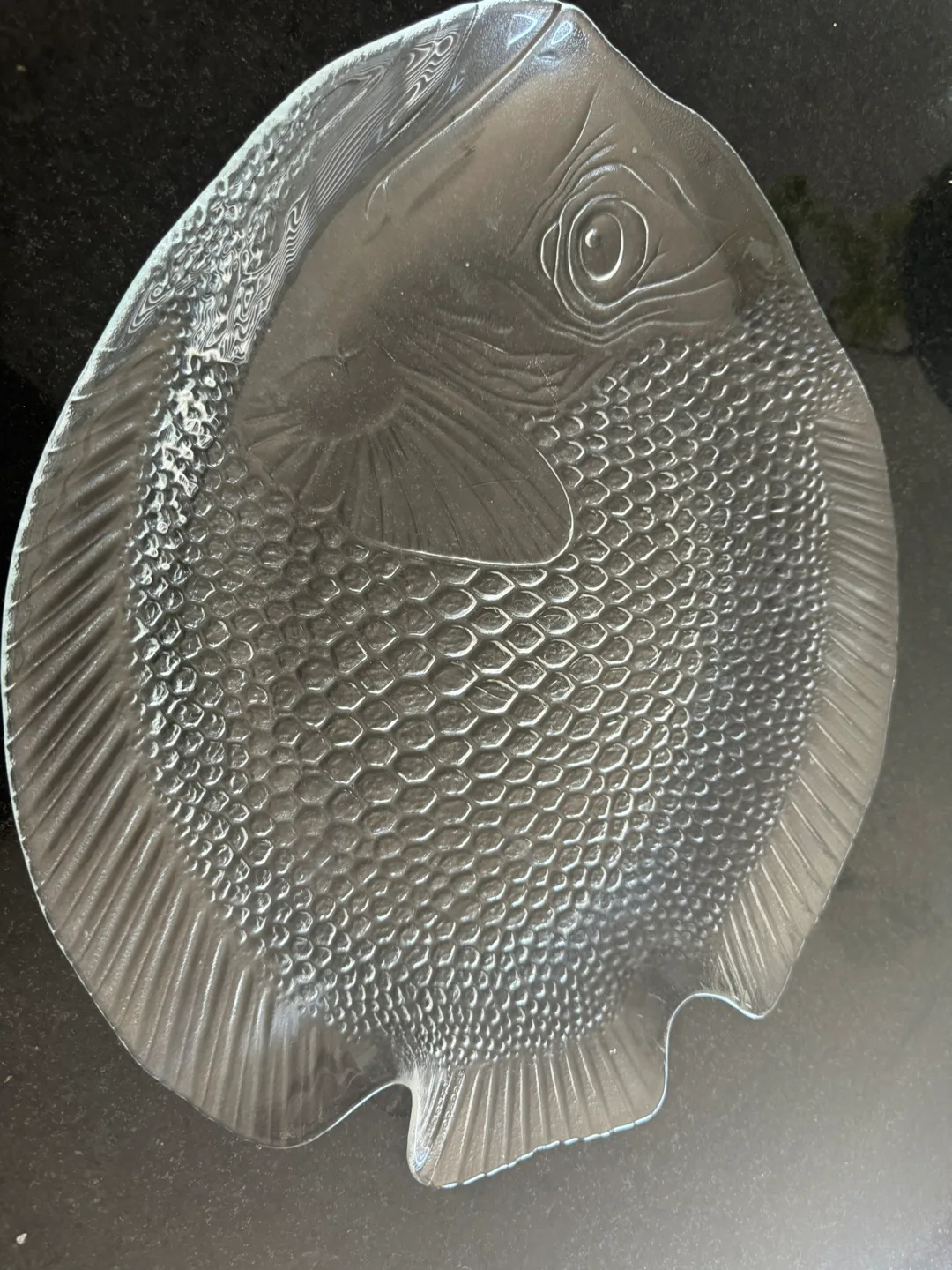 Glass Fish Plate image indicator(2)