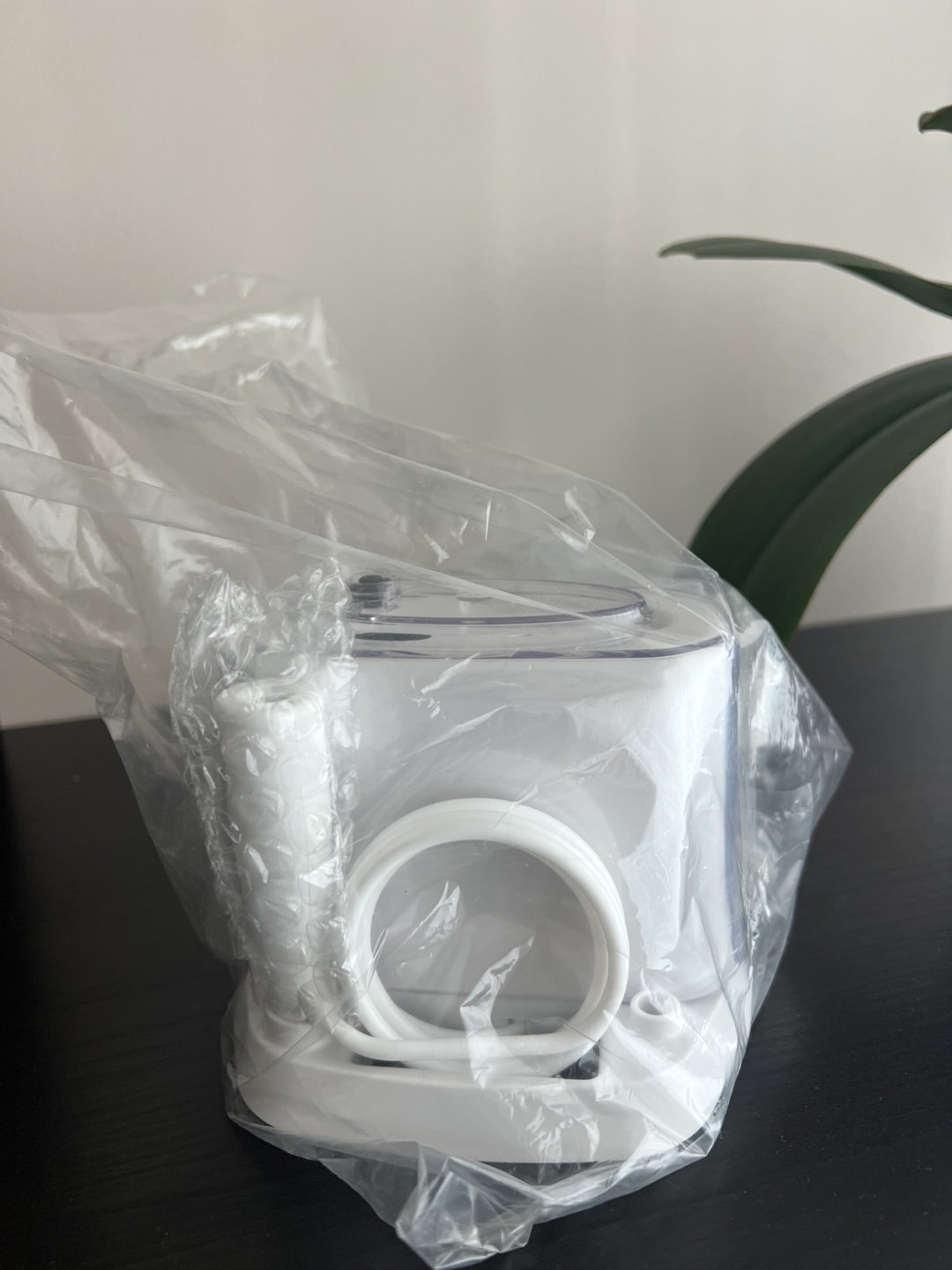 Waterpik Water Flosser