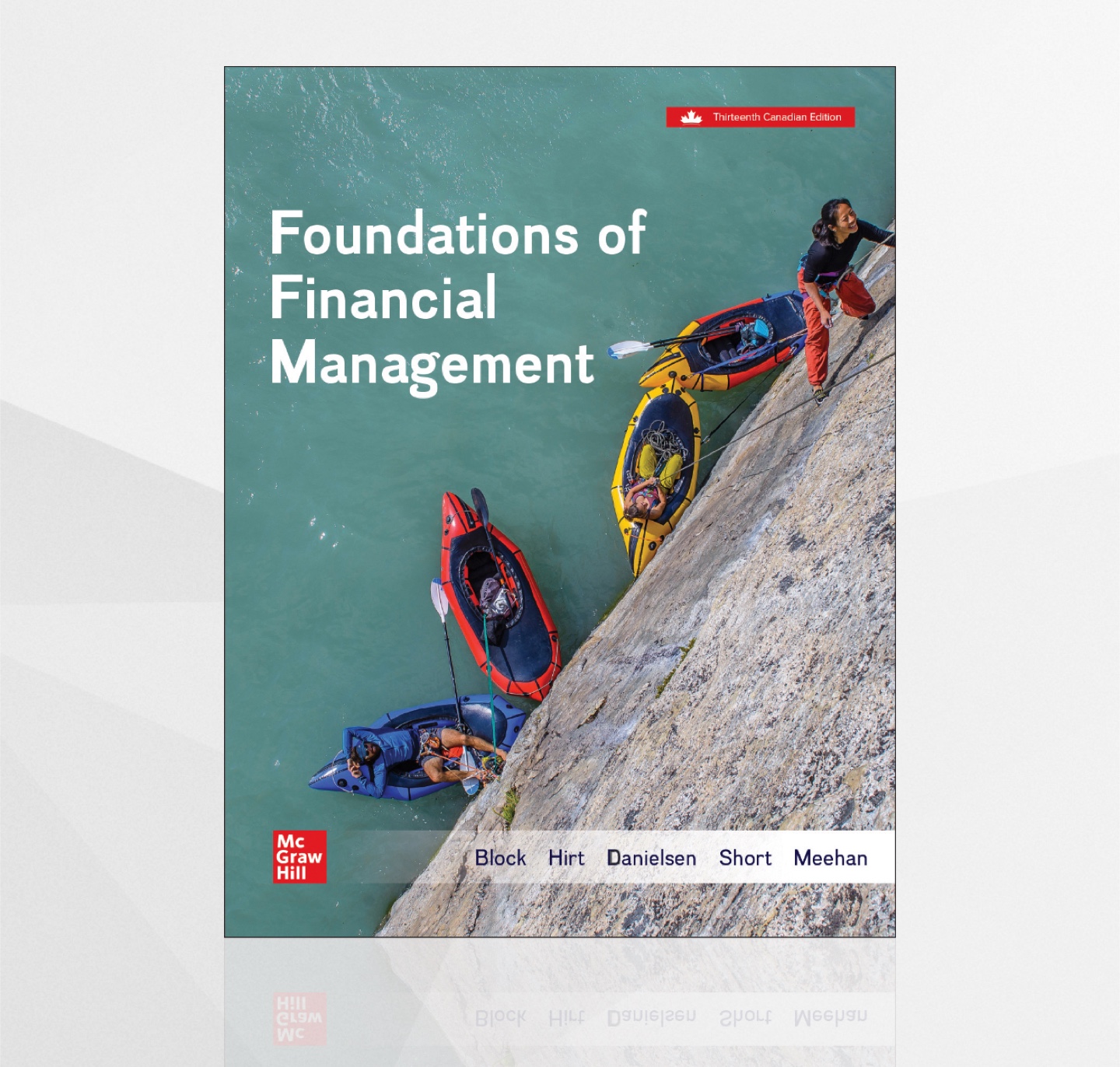 Foundations of Financial Management Textbook - BFIN 250 Humber - photo 4