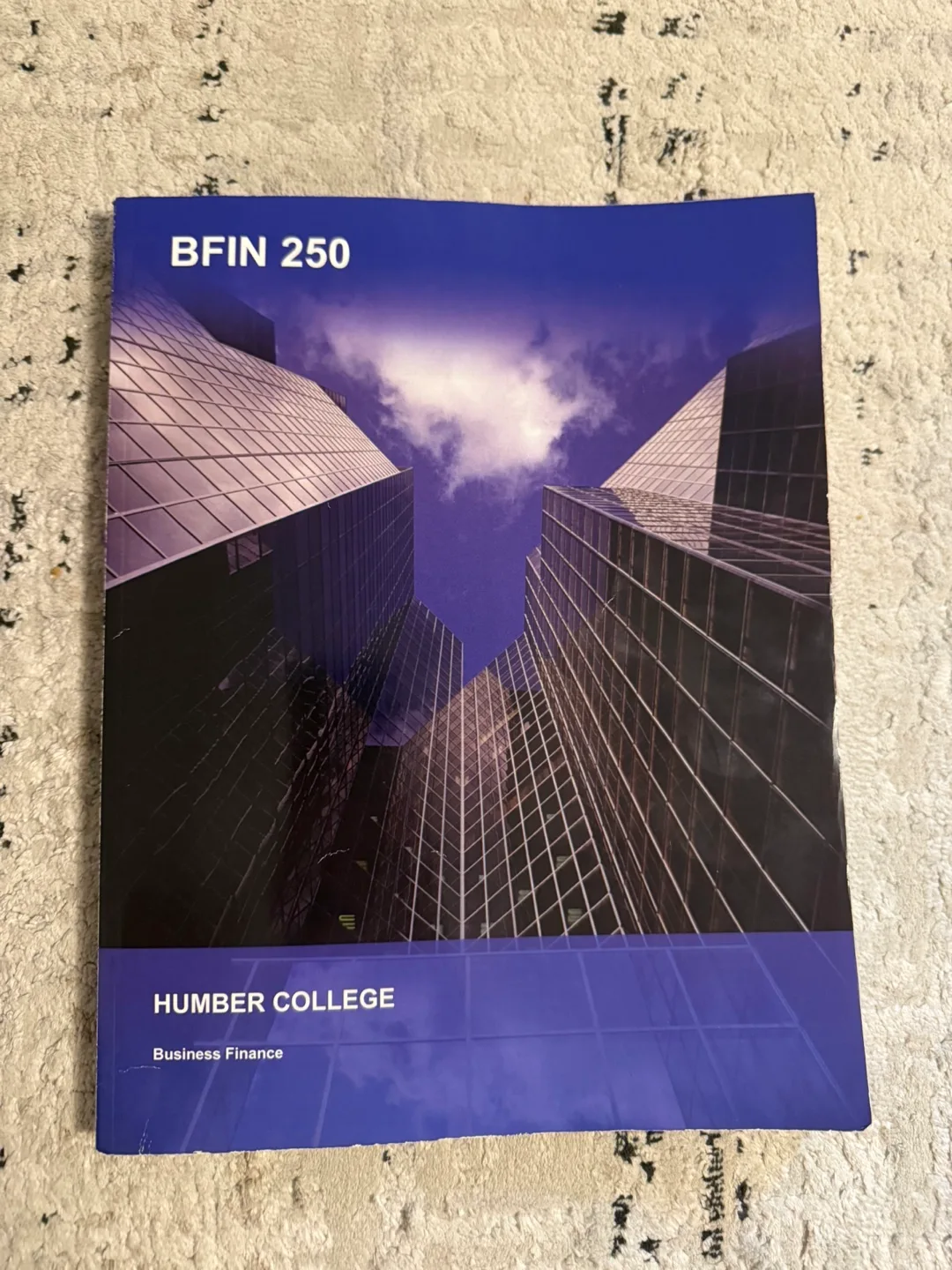 Foundations of Financial Management Textbook - BFIN 250 Humber thumbnail