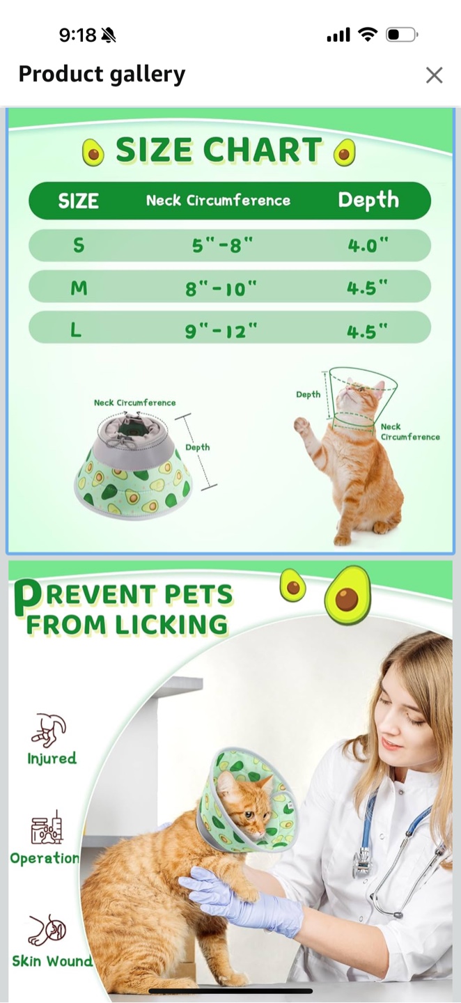 Avocado kitten collar cone - photo 2