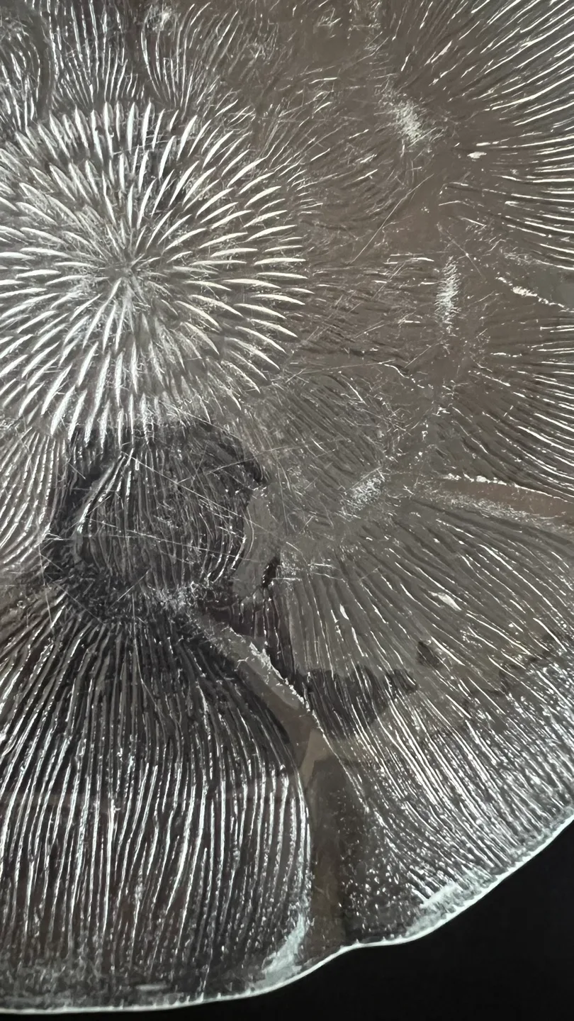 Vintage Arcoroc “Fleur” Dinner and Salad Plates - Set of 7 image indicator(6)