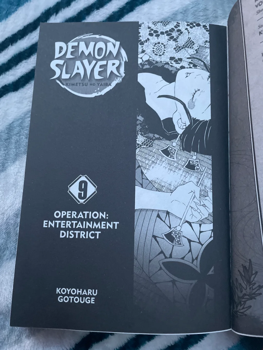 Demon Slayer, Vol. 9 English image indicator(3)