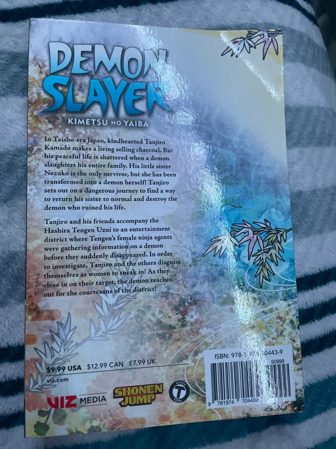 Demon Slayer, Vol. 9 English image indicator(2)