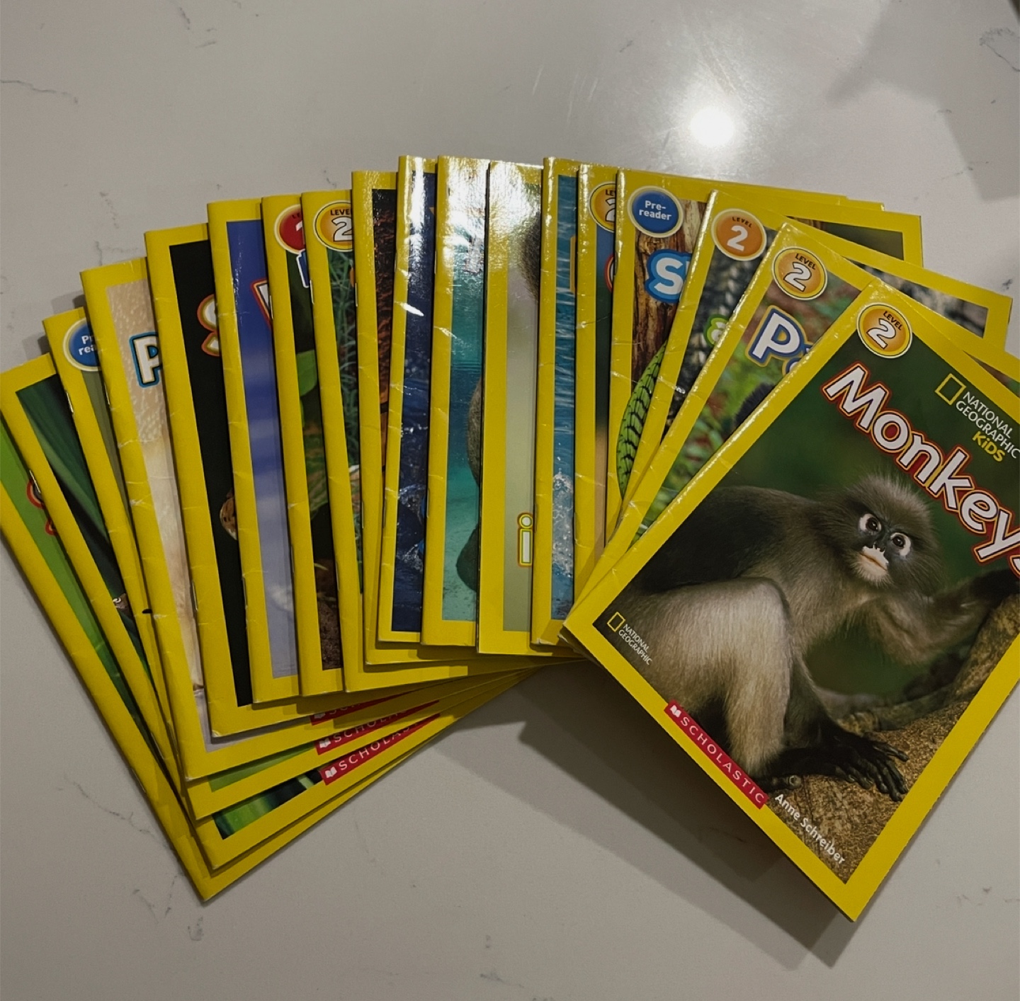 National Geographic Kids Level 2 Readers