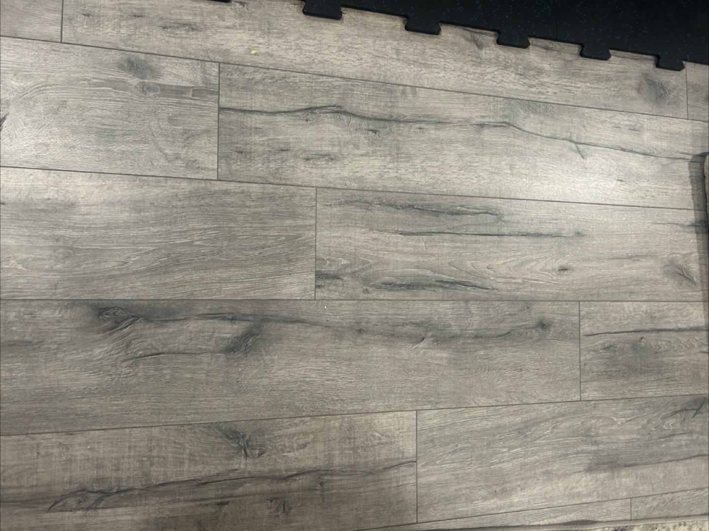 INAF Space Grey 12.3mm Laminate Flooring 🥕