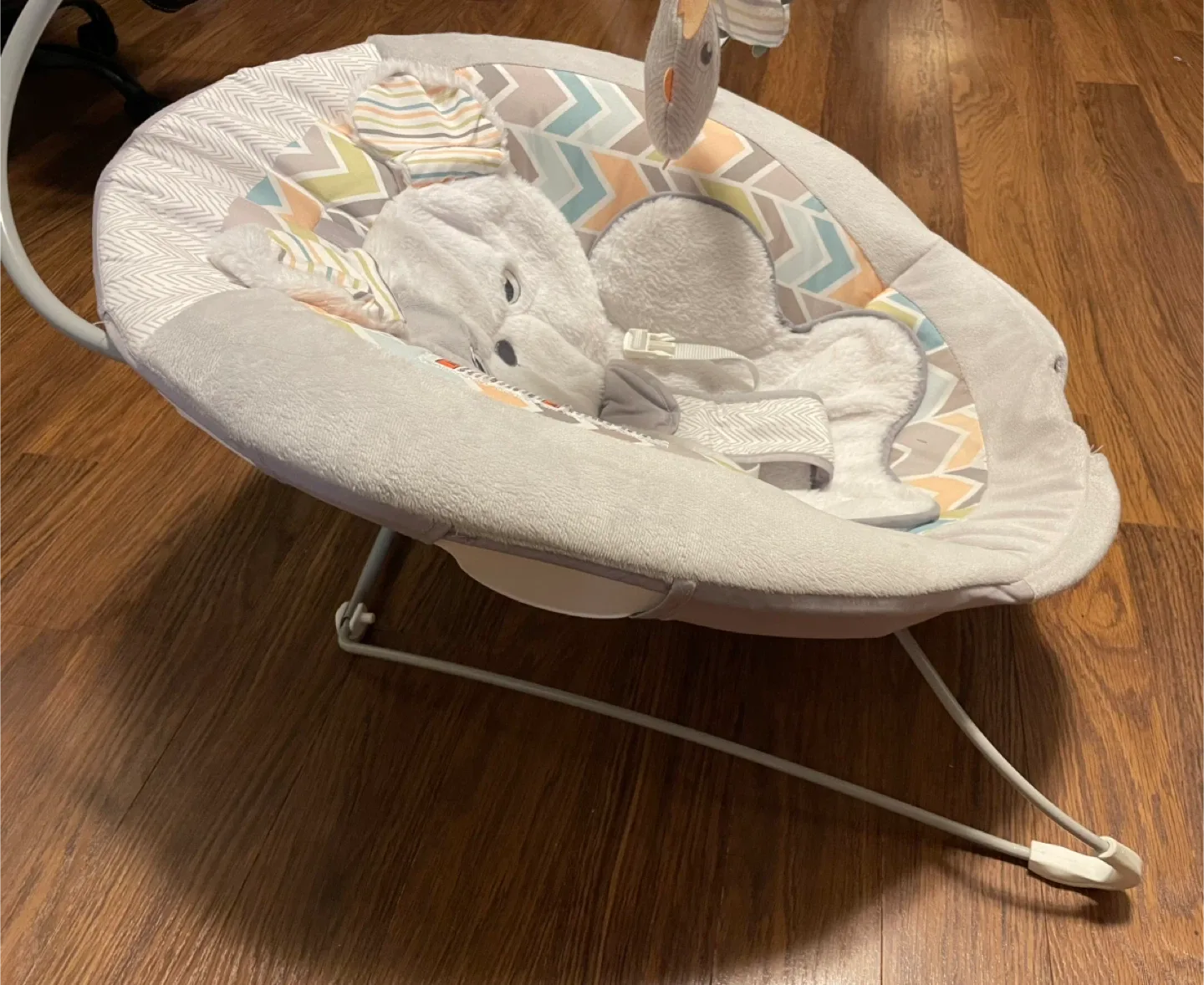 Fisher-Price Baby Bouncer 🥕- Excellent Condition! image indicator(2)