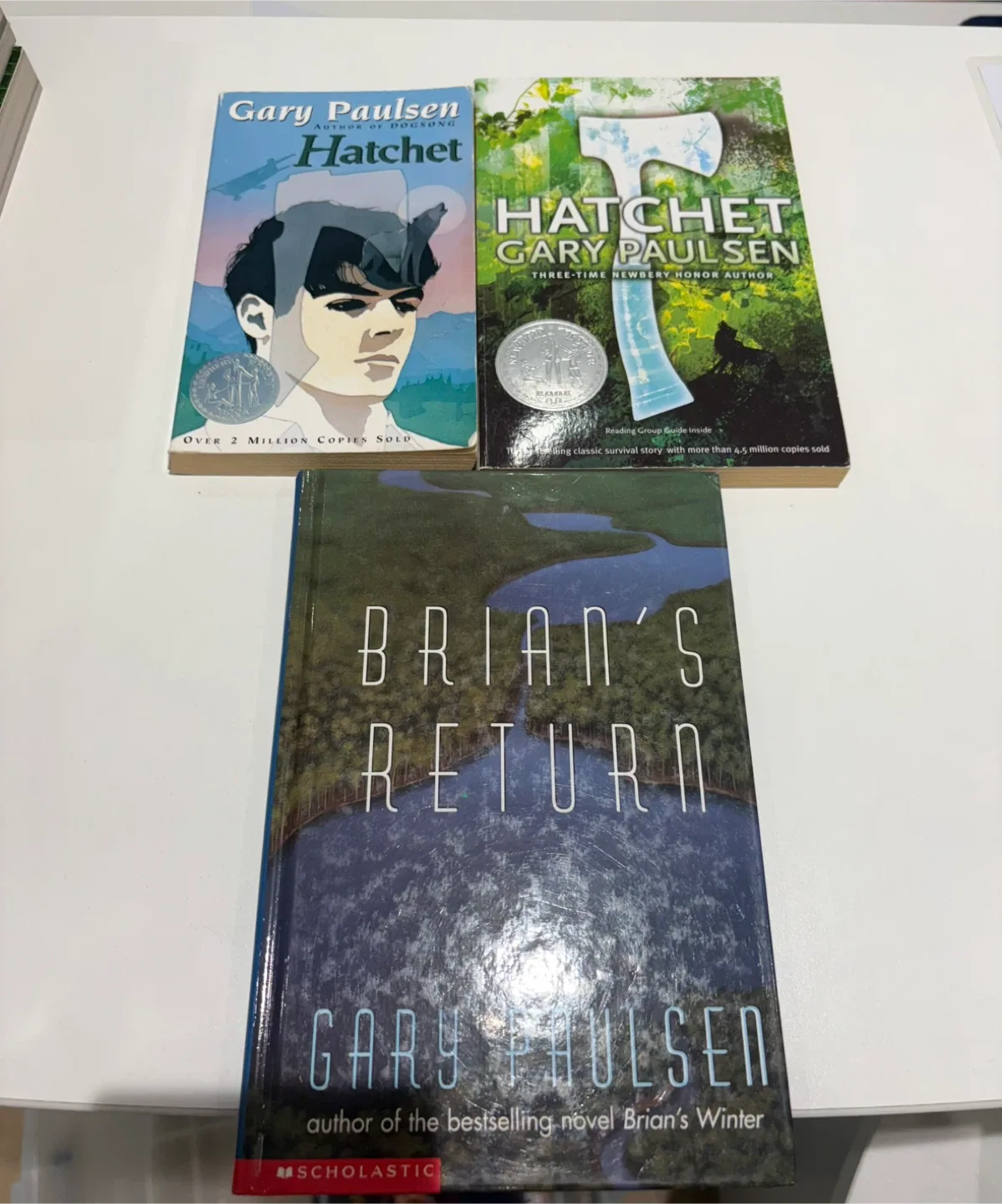 Gary Paulsen’s classic survival series thumbnail
