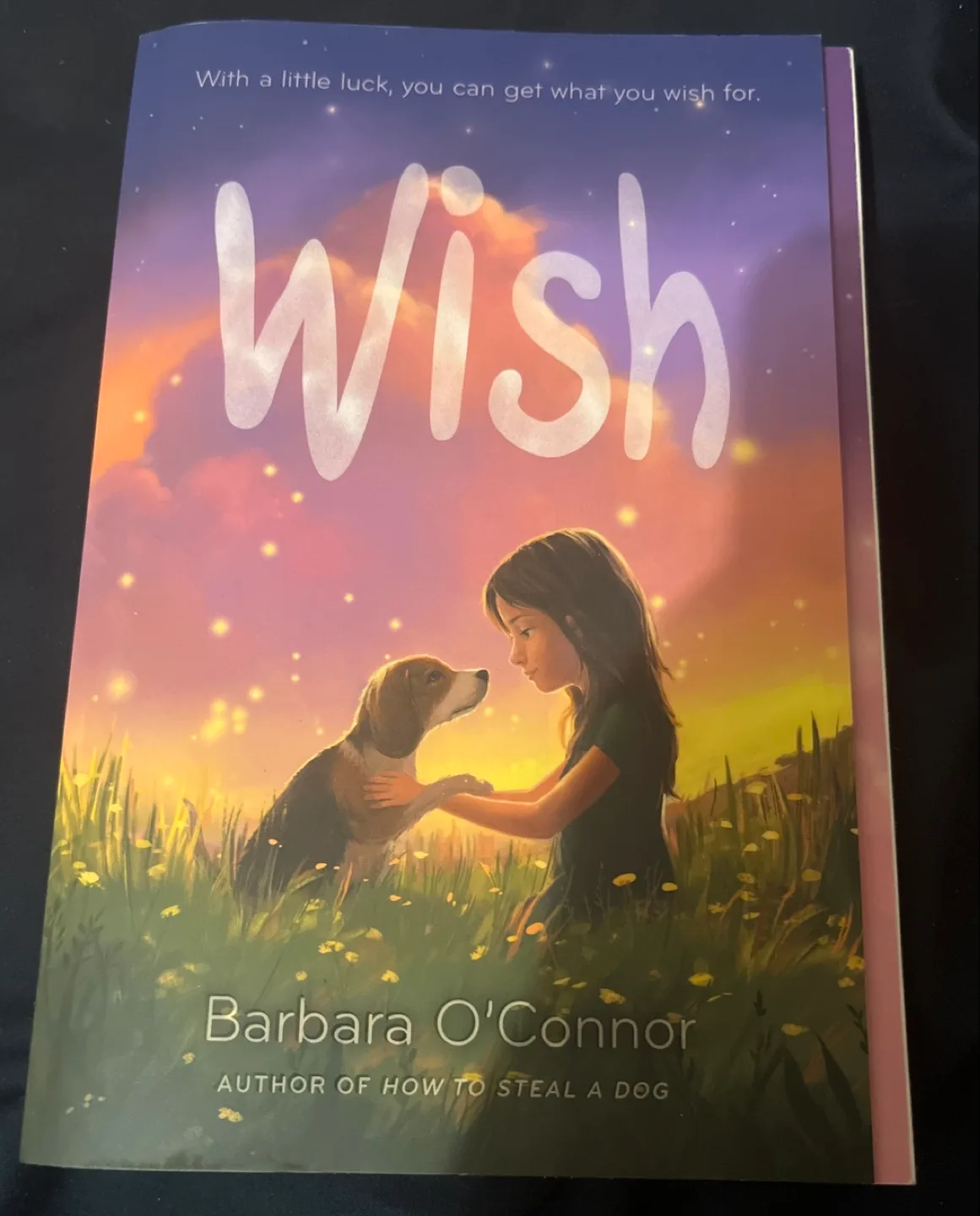 Wish by Barbara O'Connor - Book thumbnail