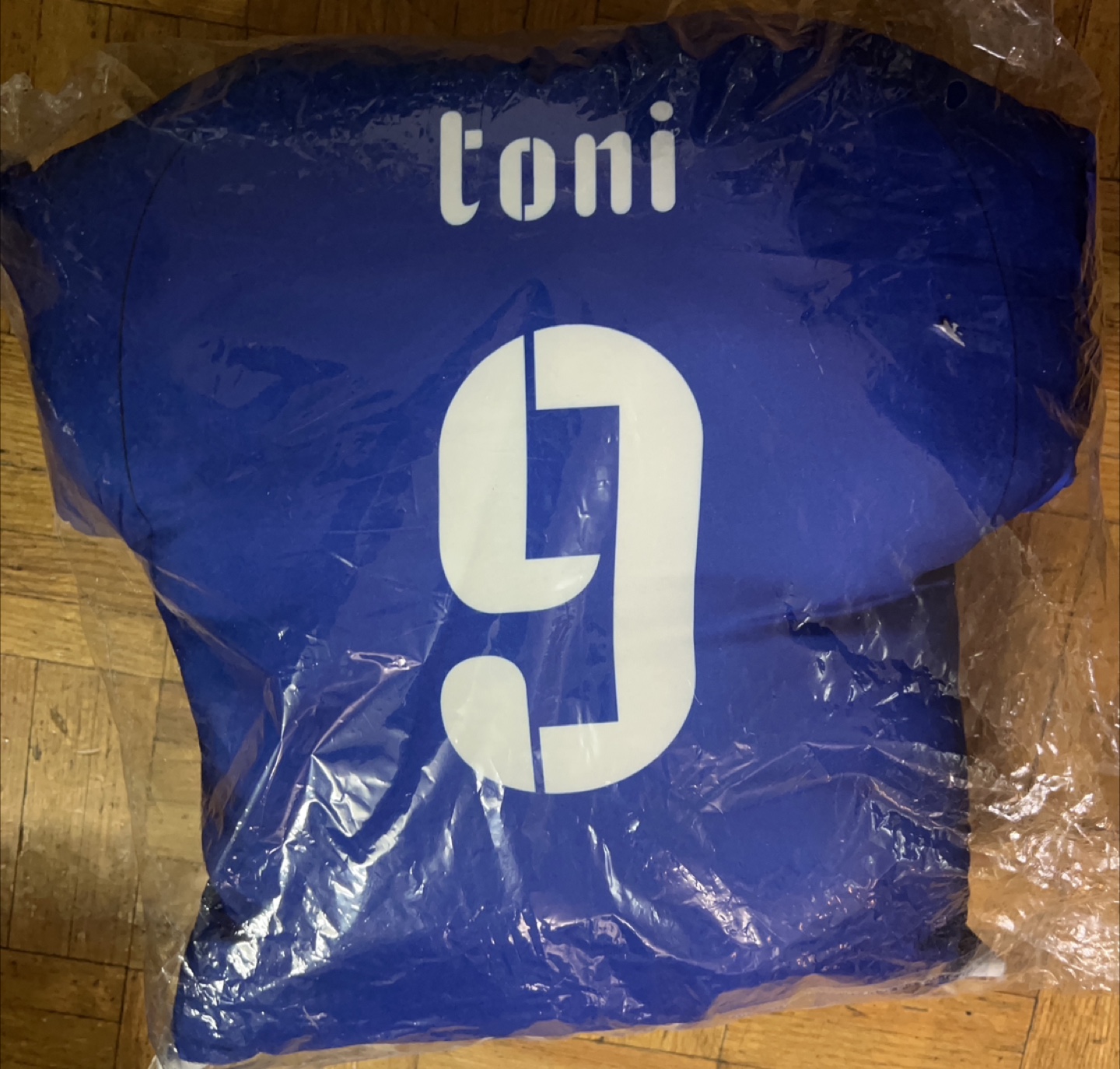 Toni #9 Blue Jersey pillow