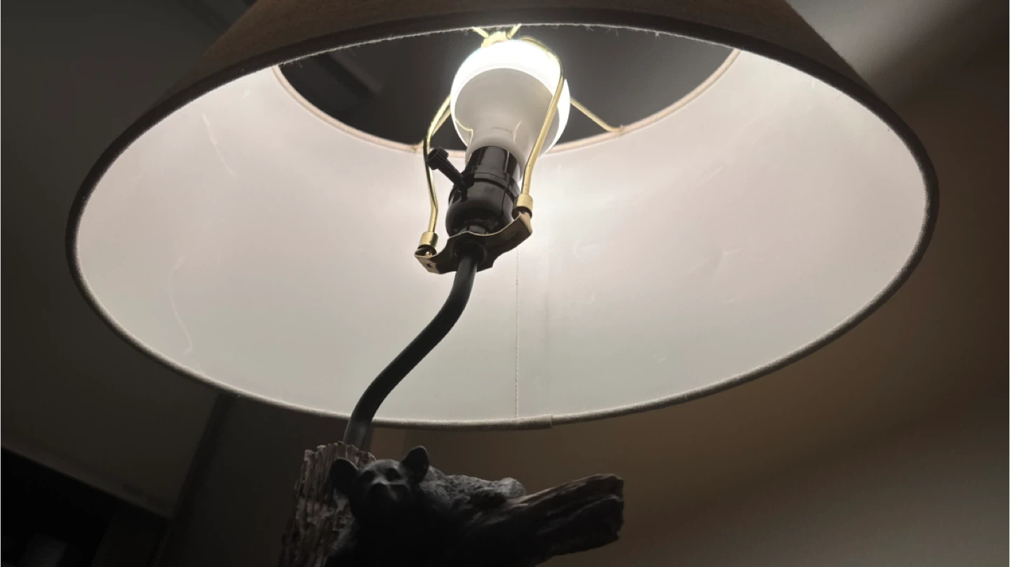 Bear Accent Table Lamp - photo 3