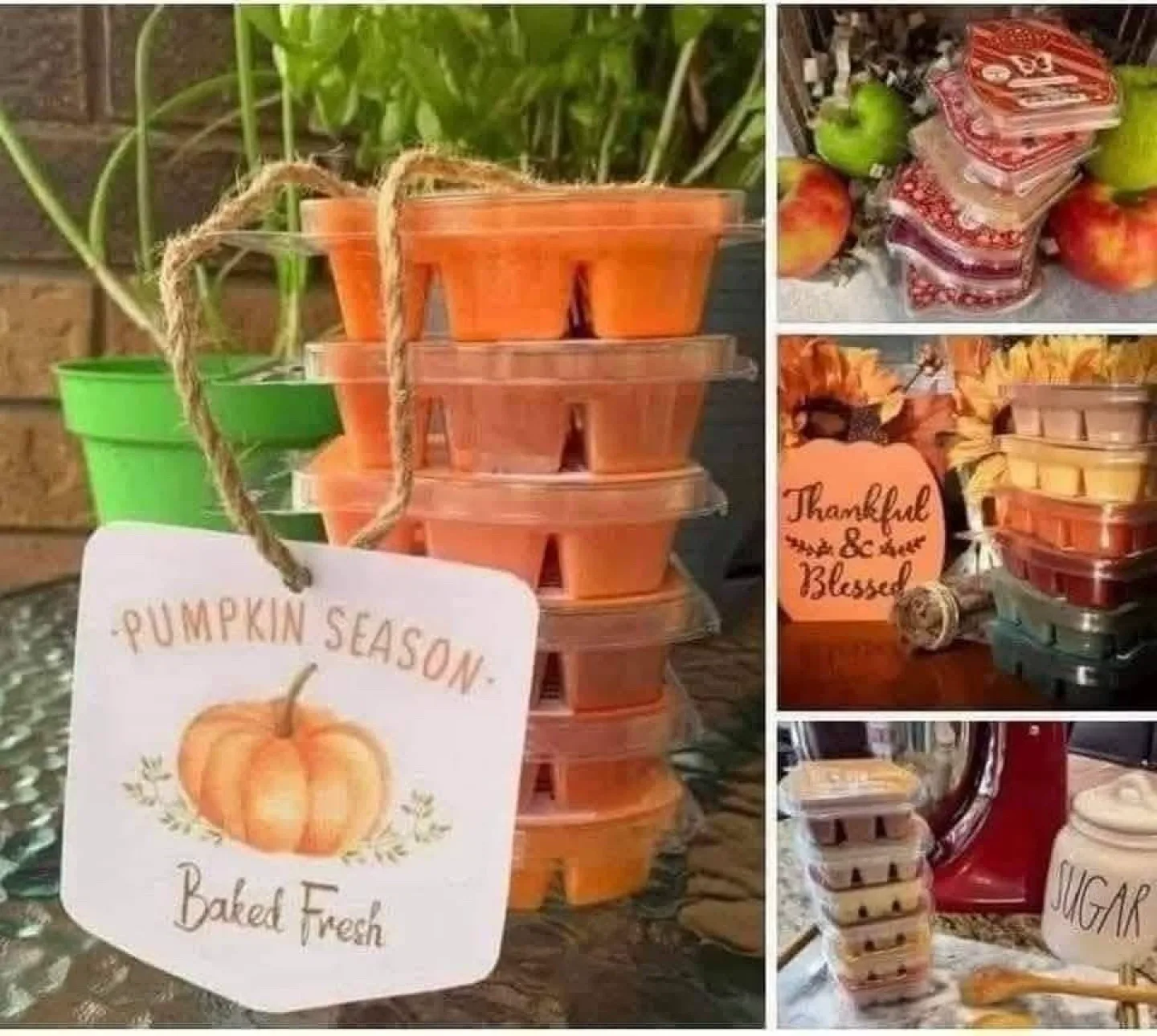 New Scentsy 6 Packs! thumbnail