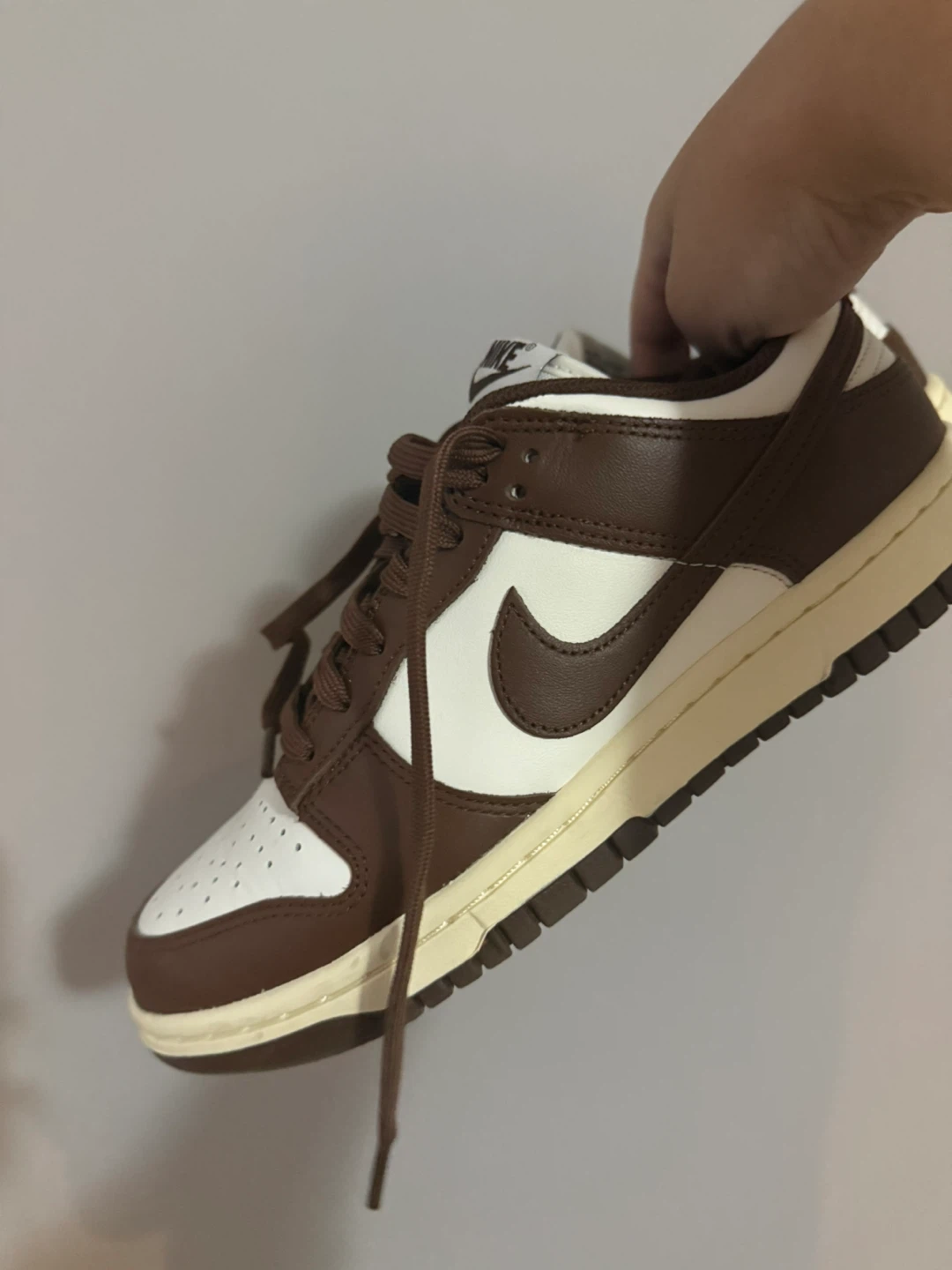 Nike Dunk Low Shoes