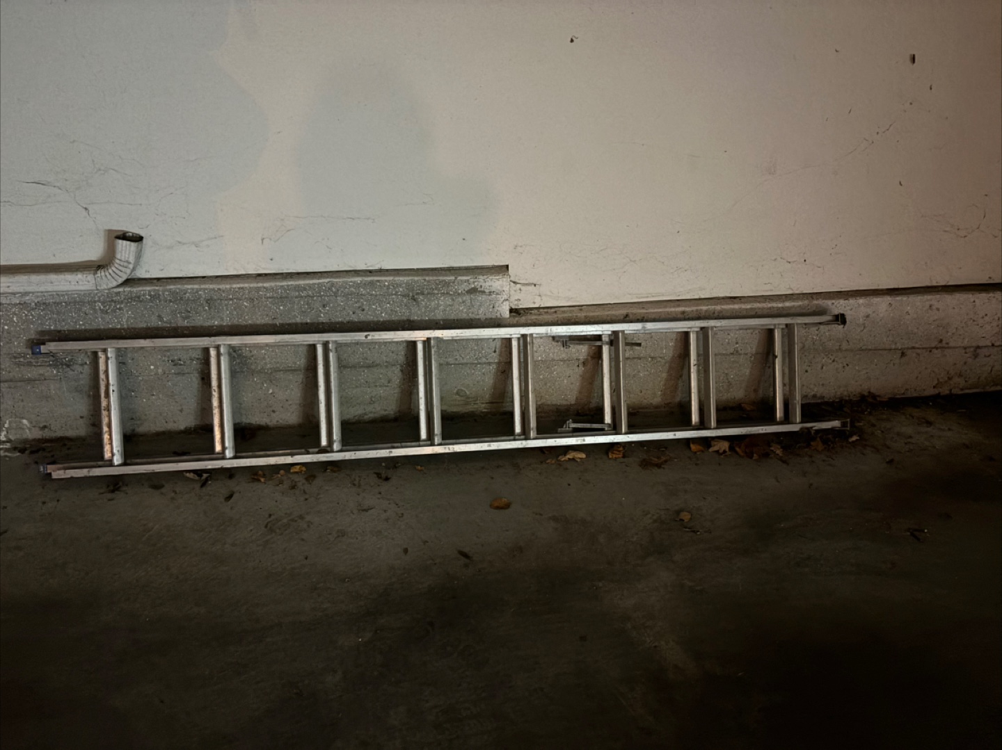 Extendable Aluminum Ladder