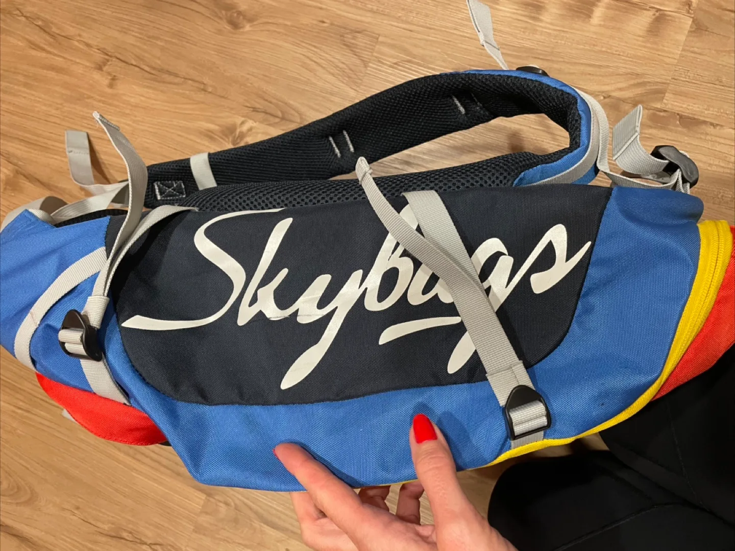 Skybags Tripod 45 Backpack - Blue, Red & Yellow image indicator(4)