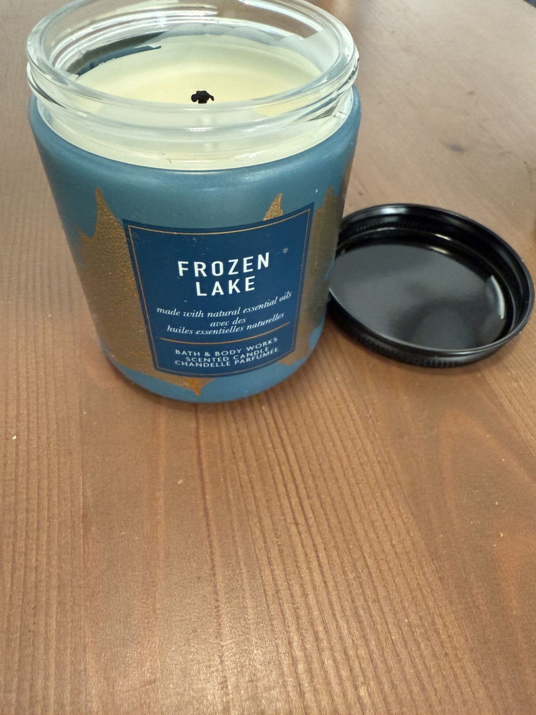Bath & Body Works Frozen Lake Candle