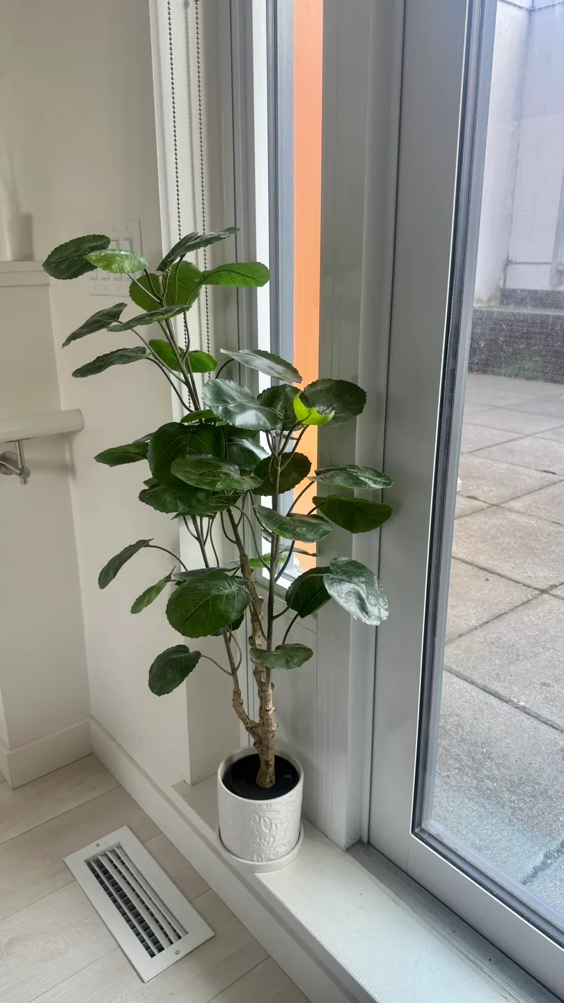 2 Faux Aralia Plants