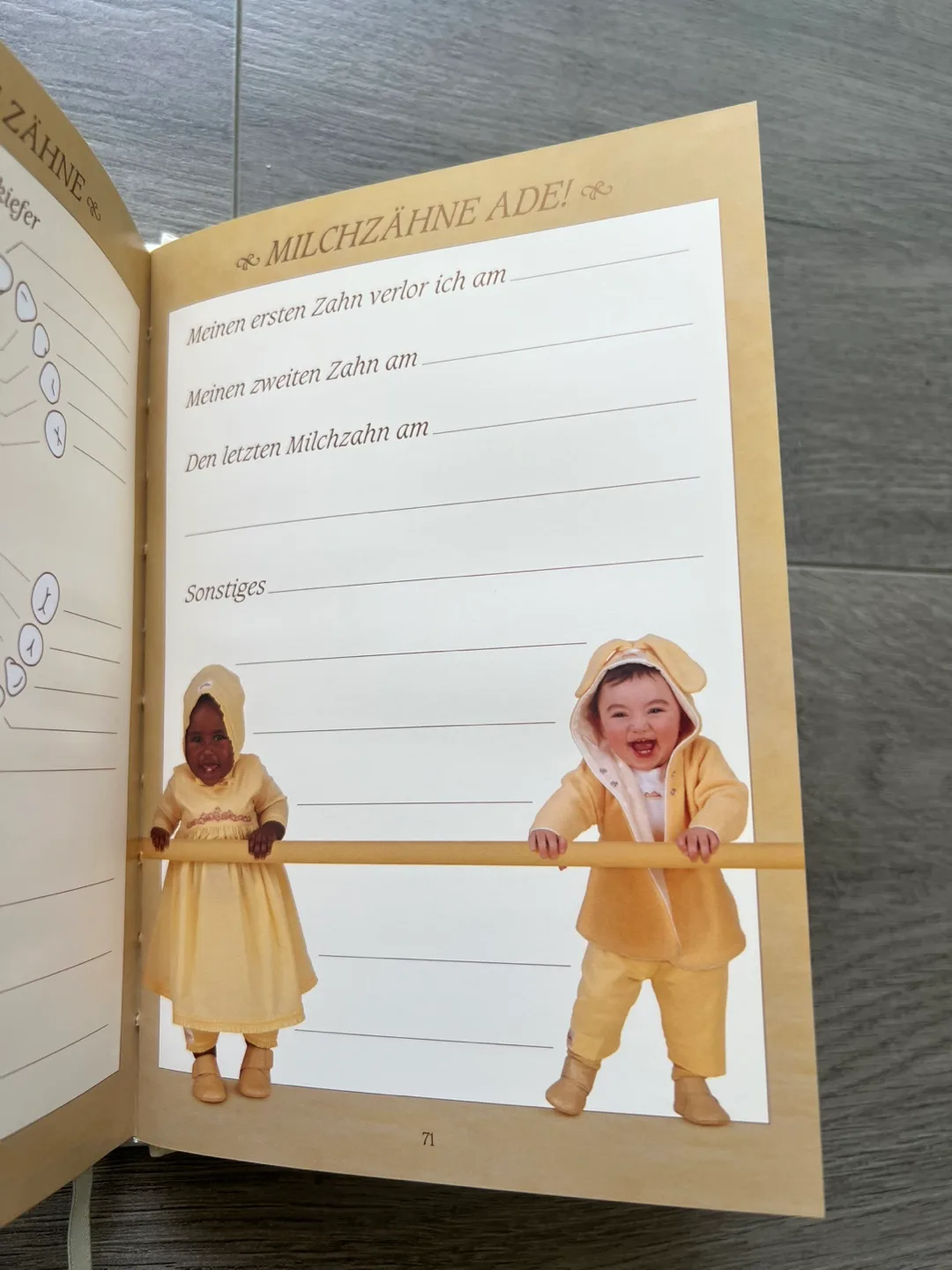 Anne Geddes - Meine ersten fünf Jahre - Book image indicator(7)