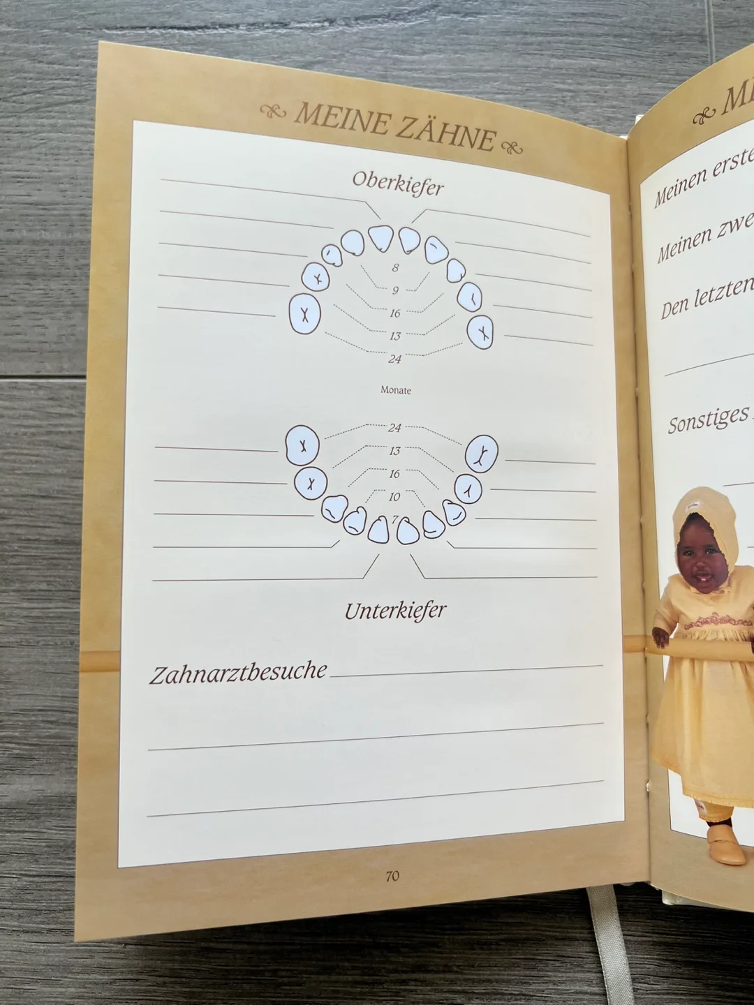 Anne Geddes - Meine ersten fünf Jahre - Book image indicator(8)