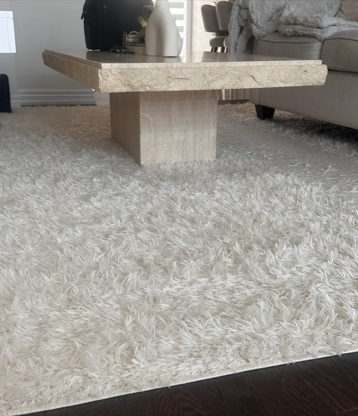 White Shag Rug