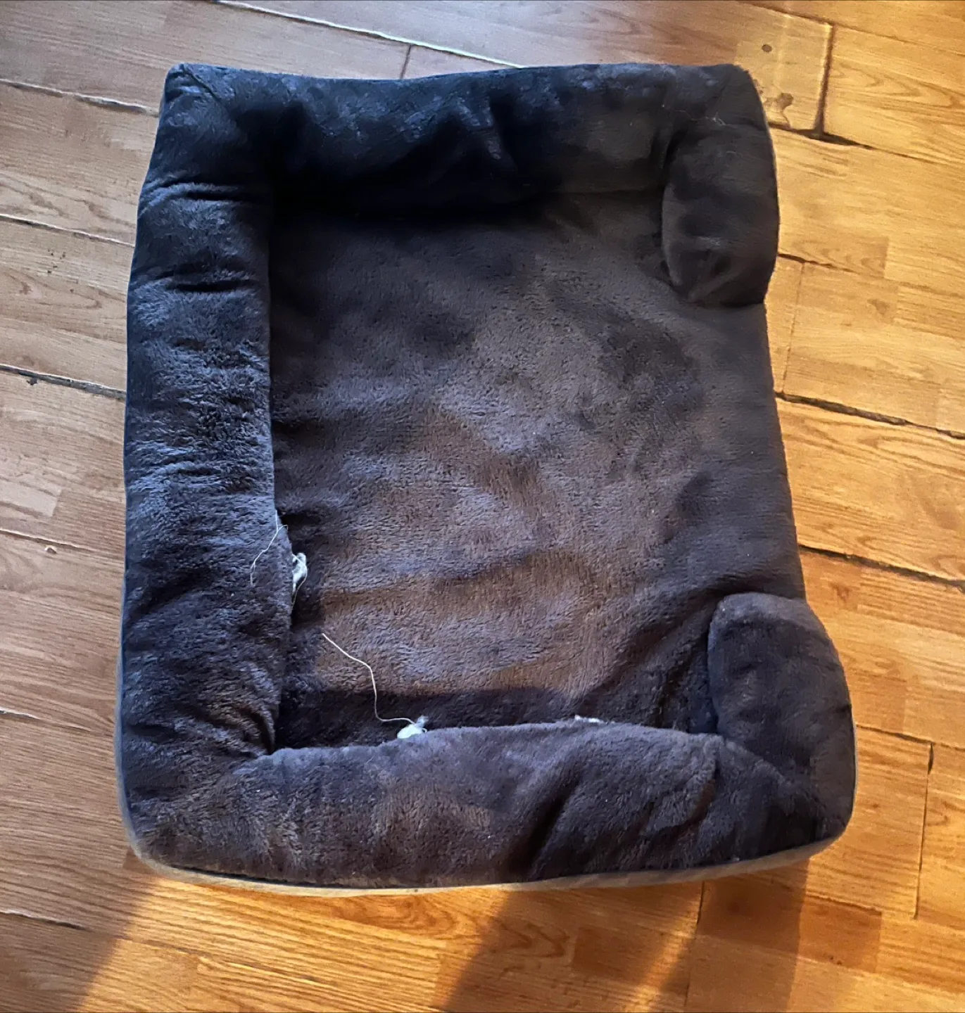 Xtra large dog bed 🥕 thumbnail