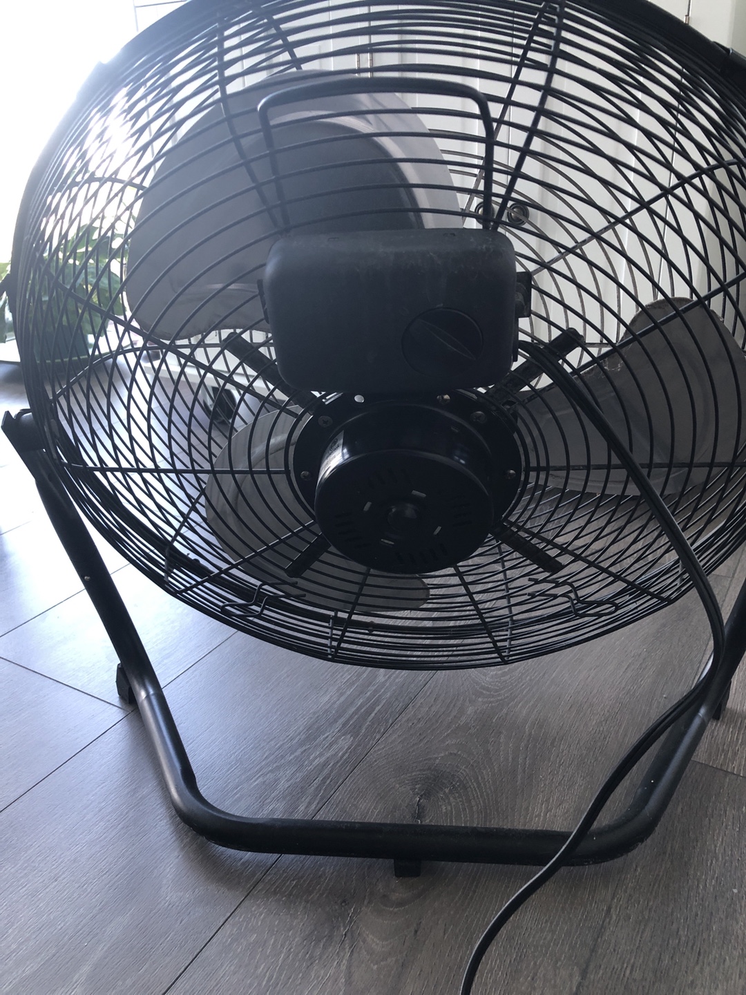 Sunbeam Black Floor Fan 🥕 - photo 2