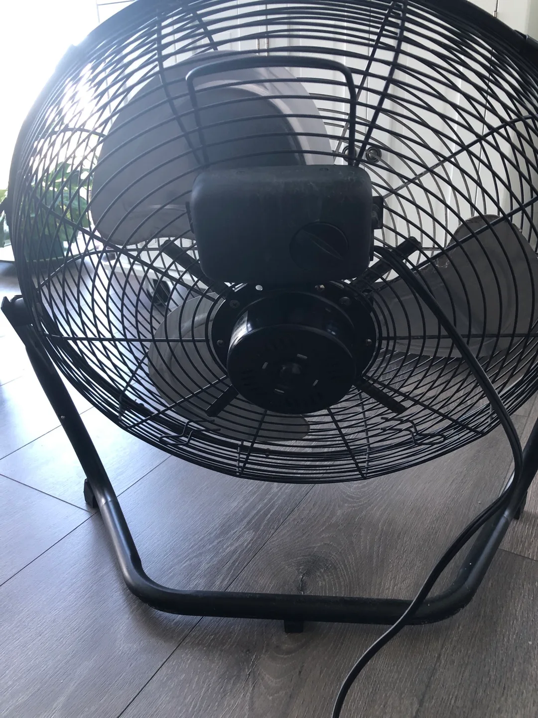 Sunbeam Black Floor Fan 🥕 image indicator(2)